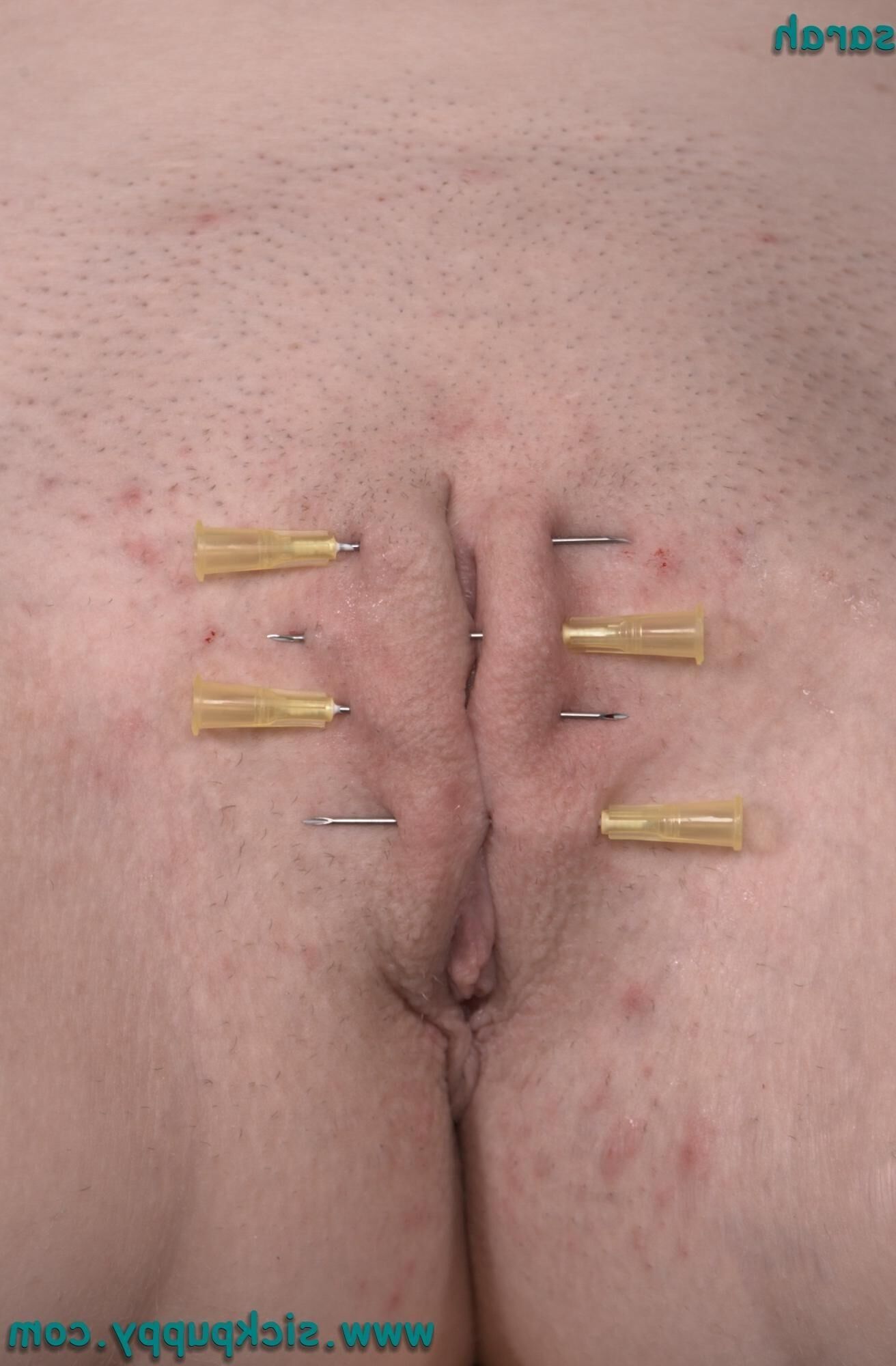 Jeweler's pussy and ass with needles