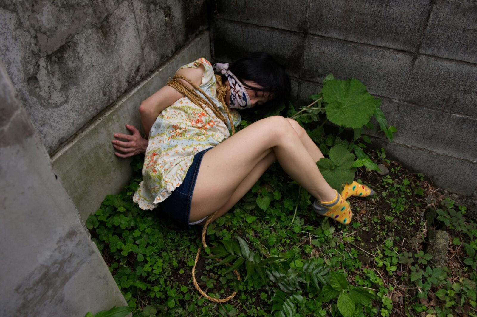 Chii Mitsuki