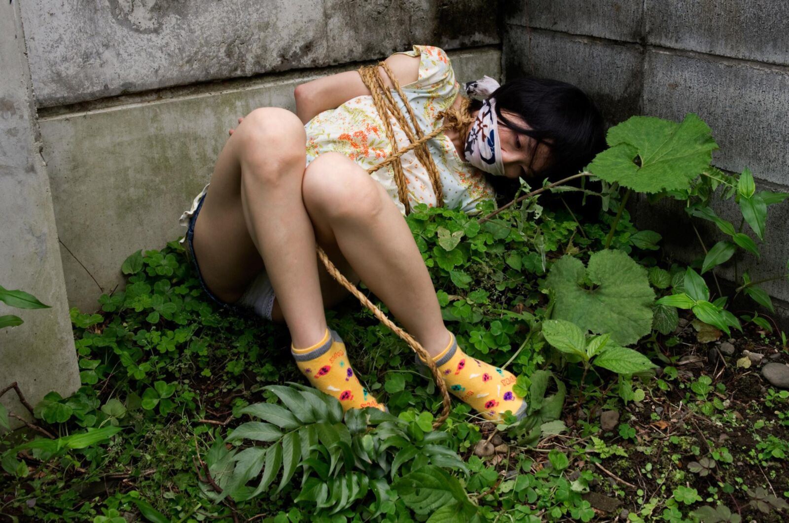 Chii Mitsuki