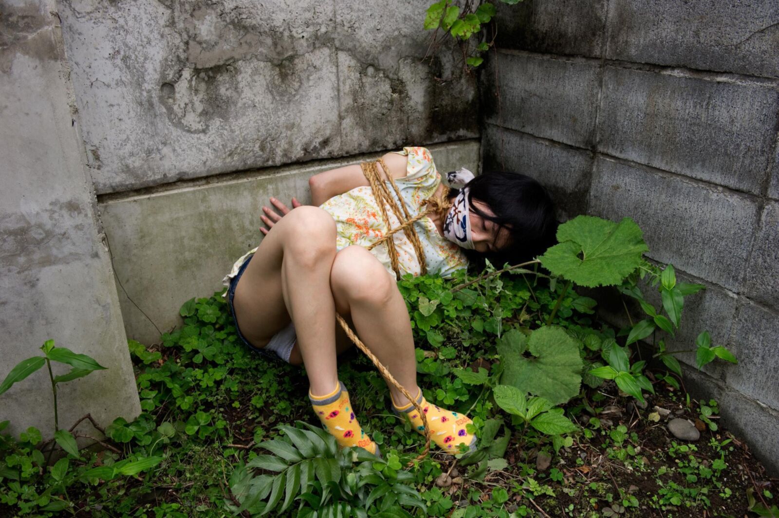 Chii Mitsuki