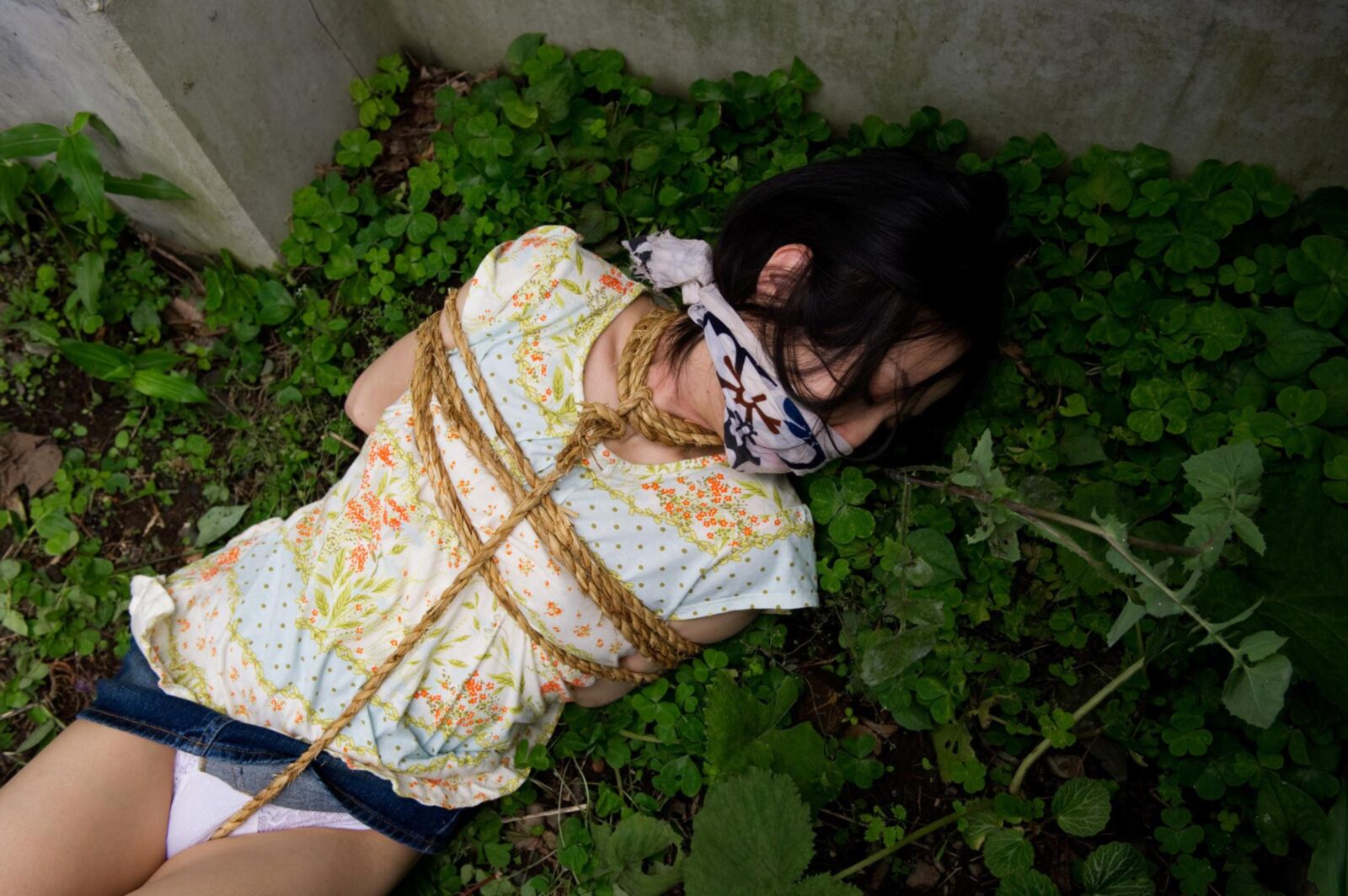 Chii Mitsuki