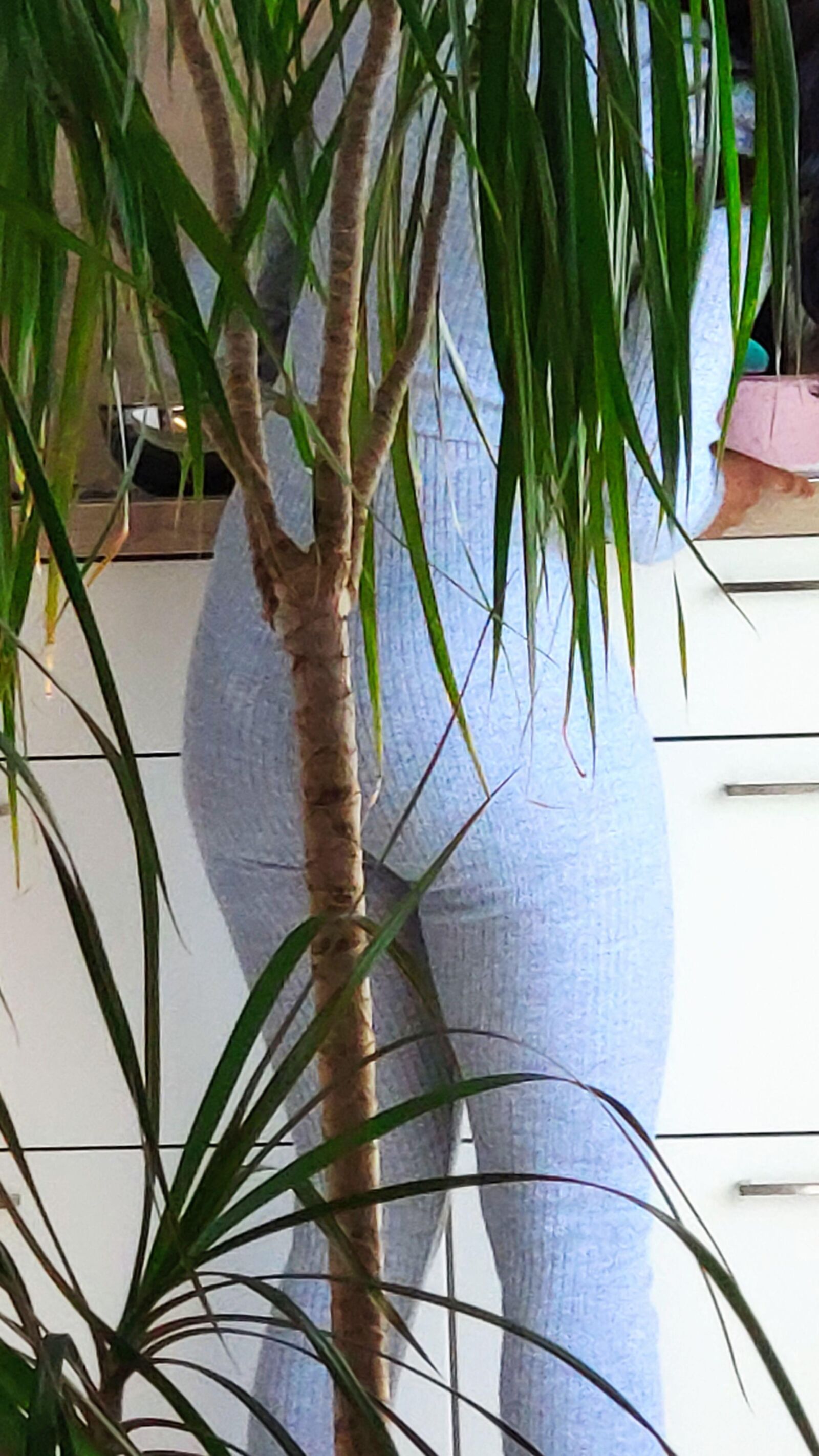 Home outfit, ass shots, see thru string, cumslut wife