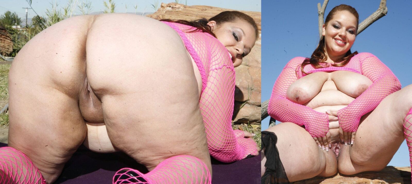 Plumper Panorama Vol 