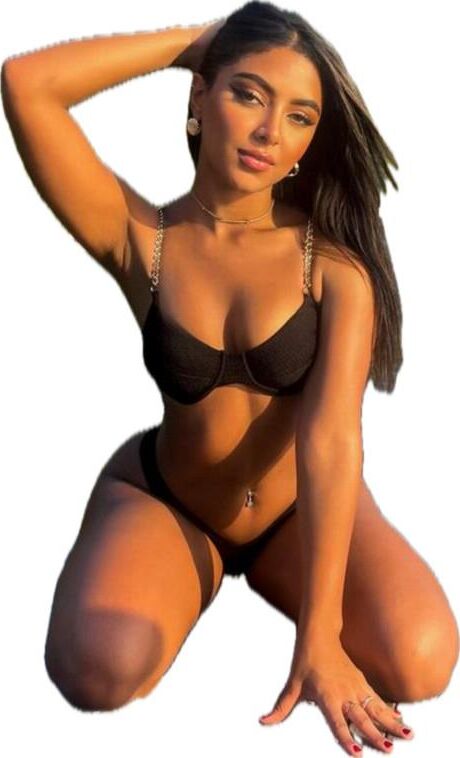 Latina lindas pegatinas grandes de trasero