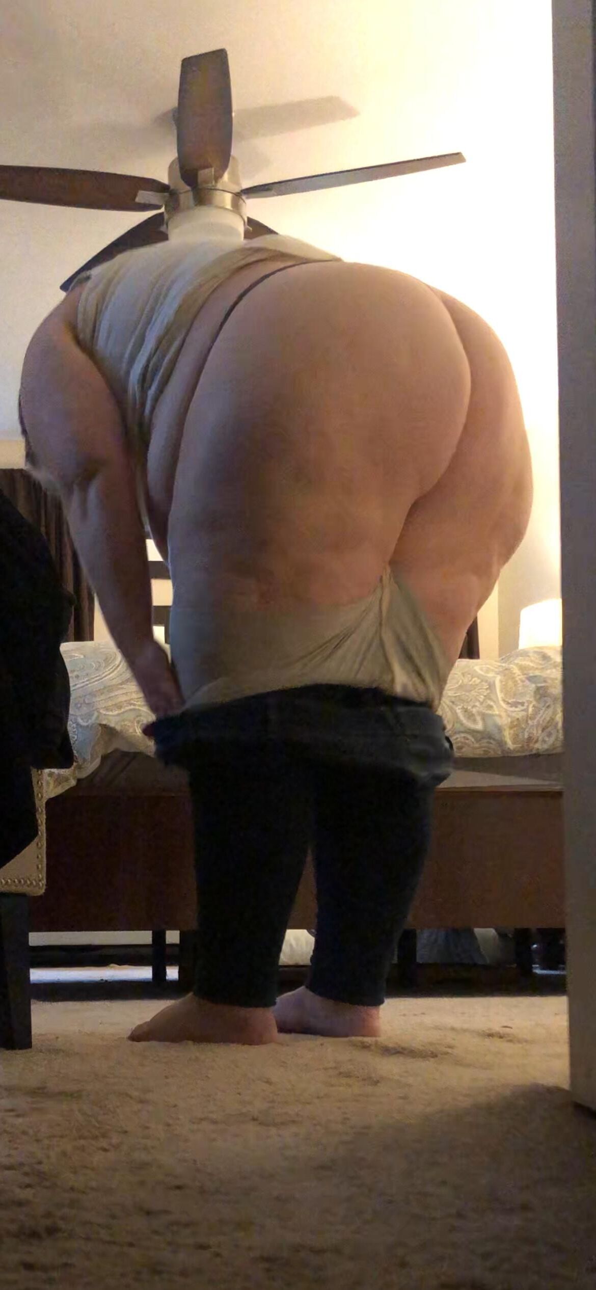 Gran perra