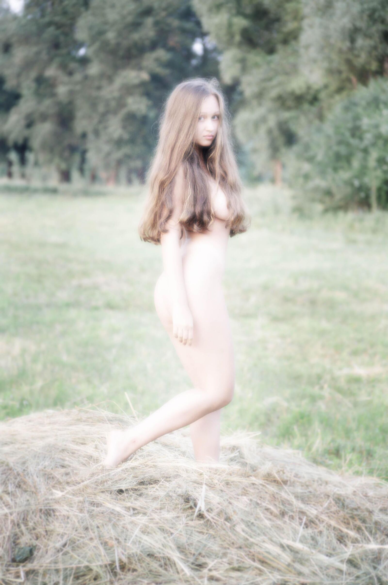 Forêt anéli de slastonoff,