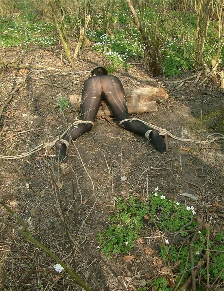 Soumise Attachee Dans les Bois