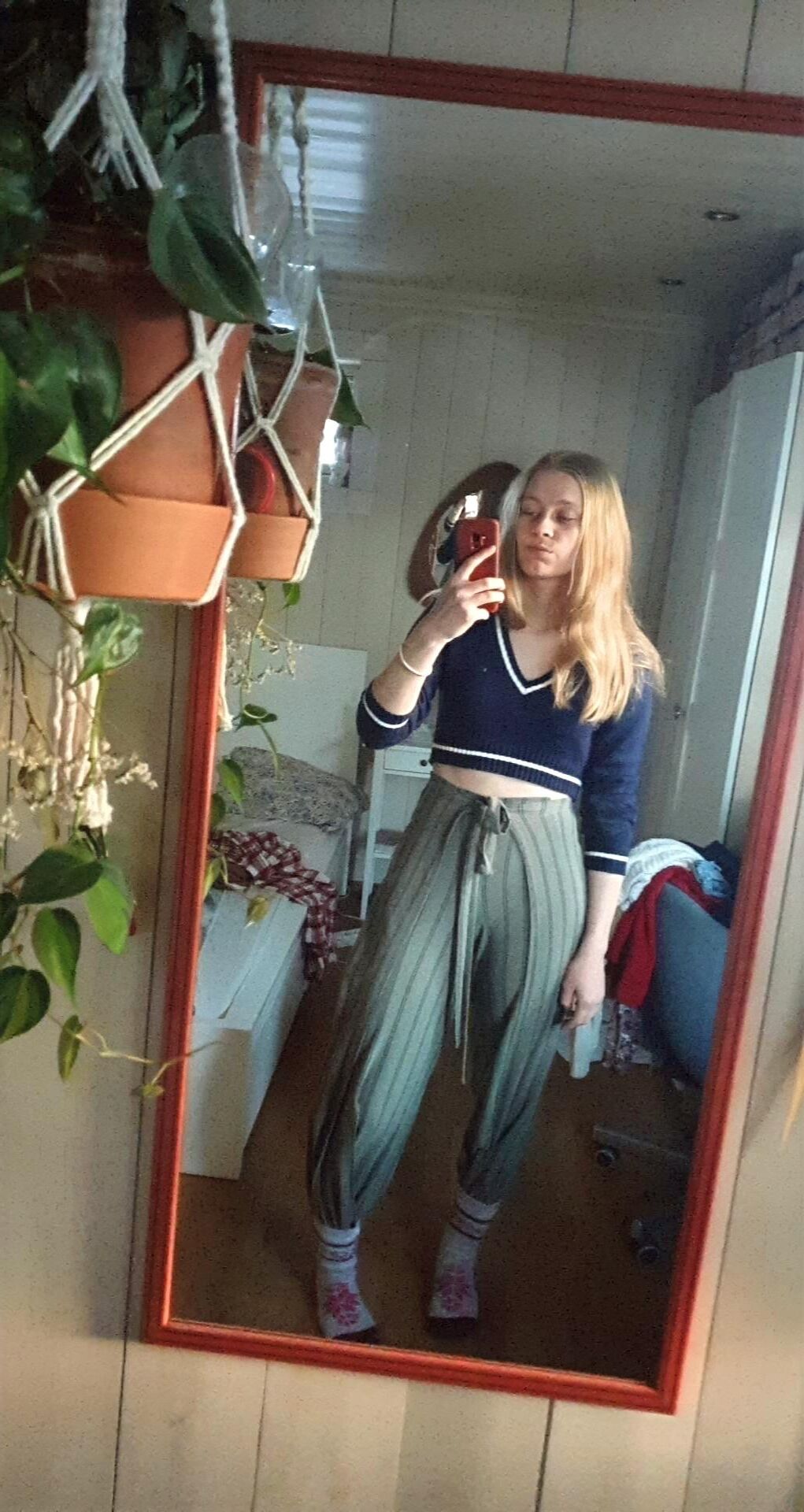 Cutie noruego