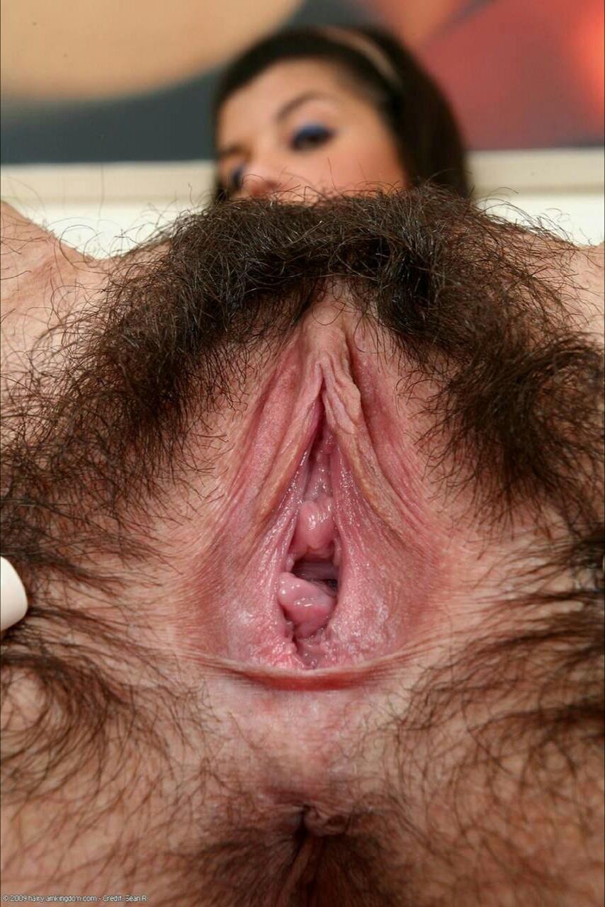 Hairy Closeups Pussies, Asses and more