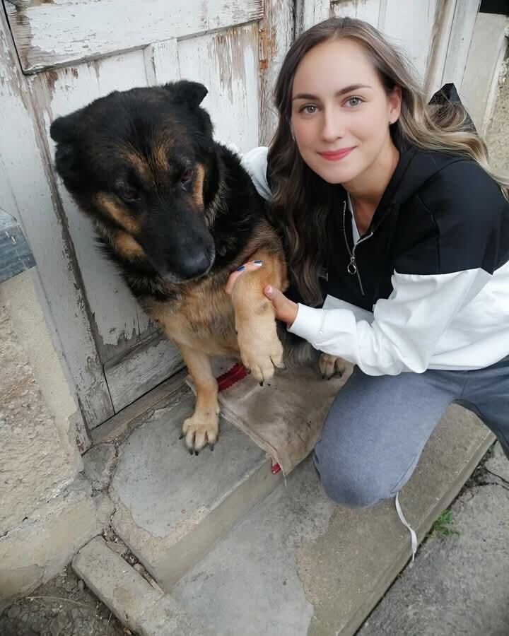 Может (в основном новые)