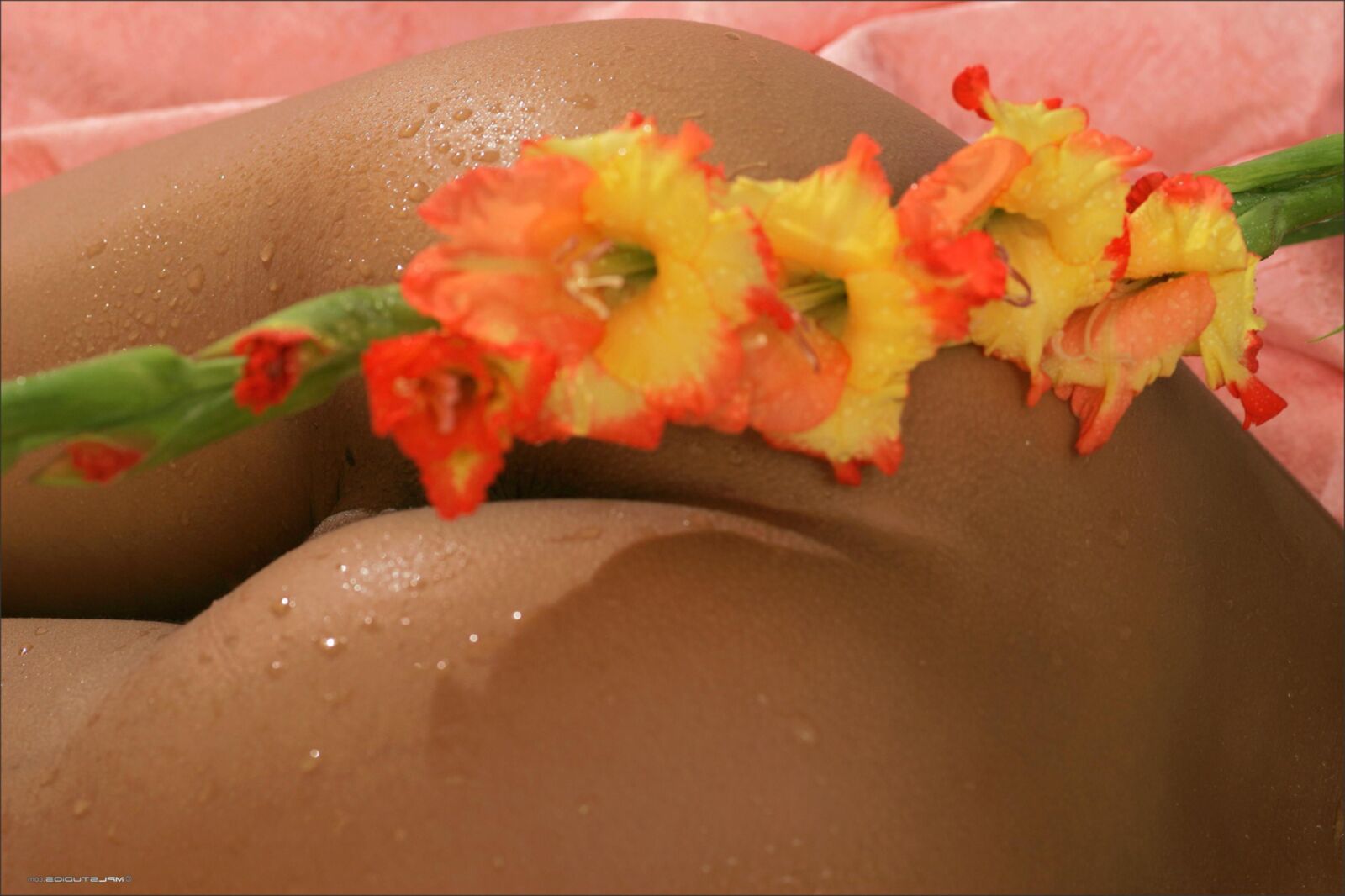 Kamilla wet close ups nipples, landing strip, cute butt, eye