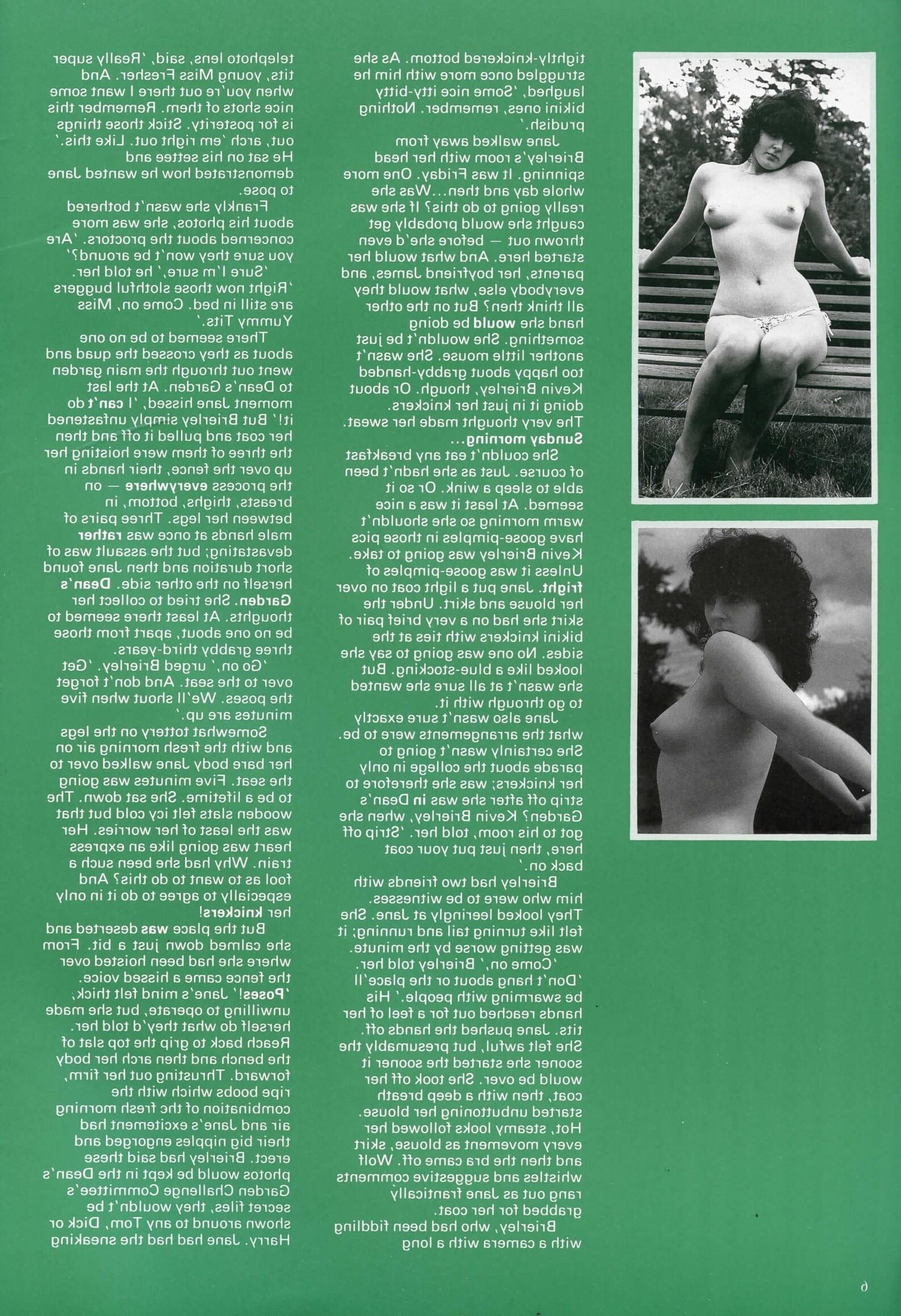 Retro Spanking Whispers issue (complete)