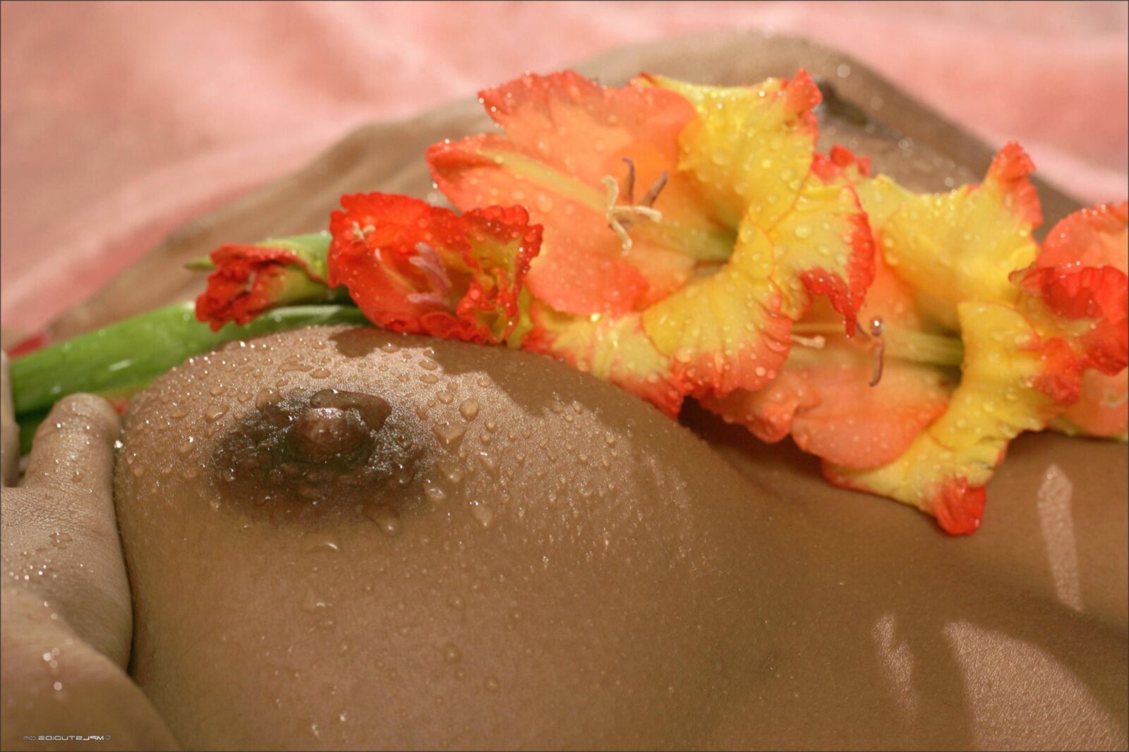 Kamilla wet close ups nipples, landing strip, cute butt, eye