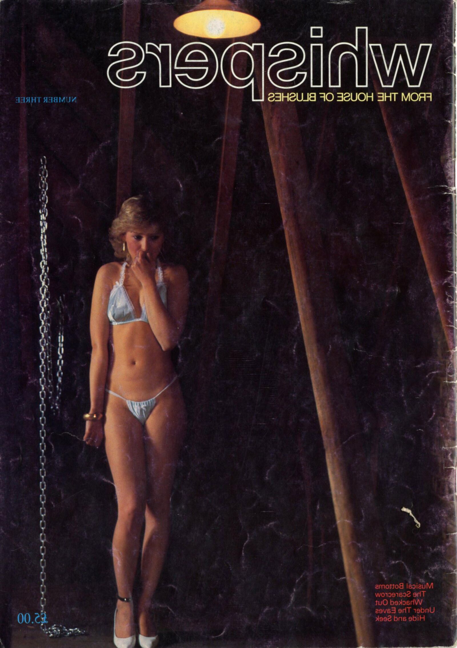 Retro Spanking Whispers issue (complete)