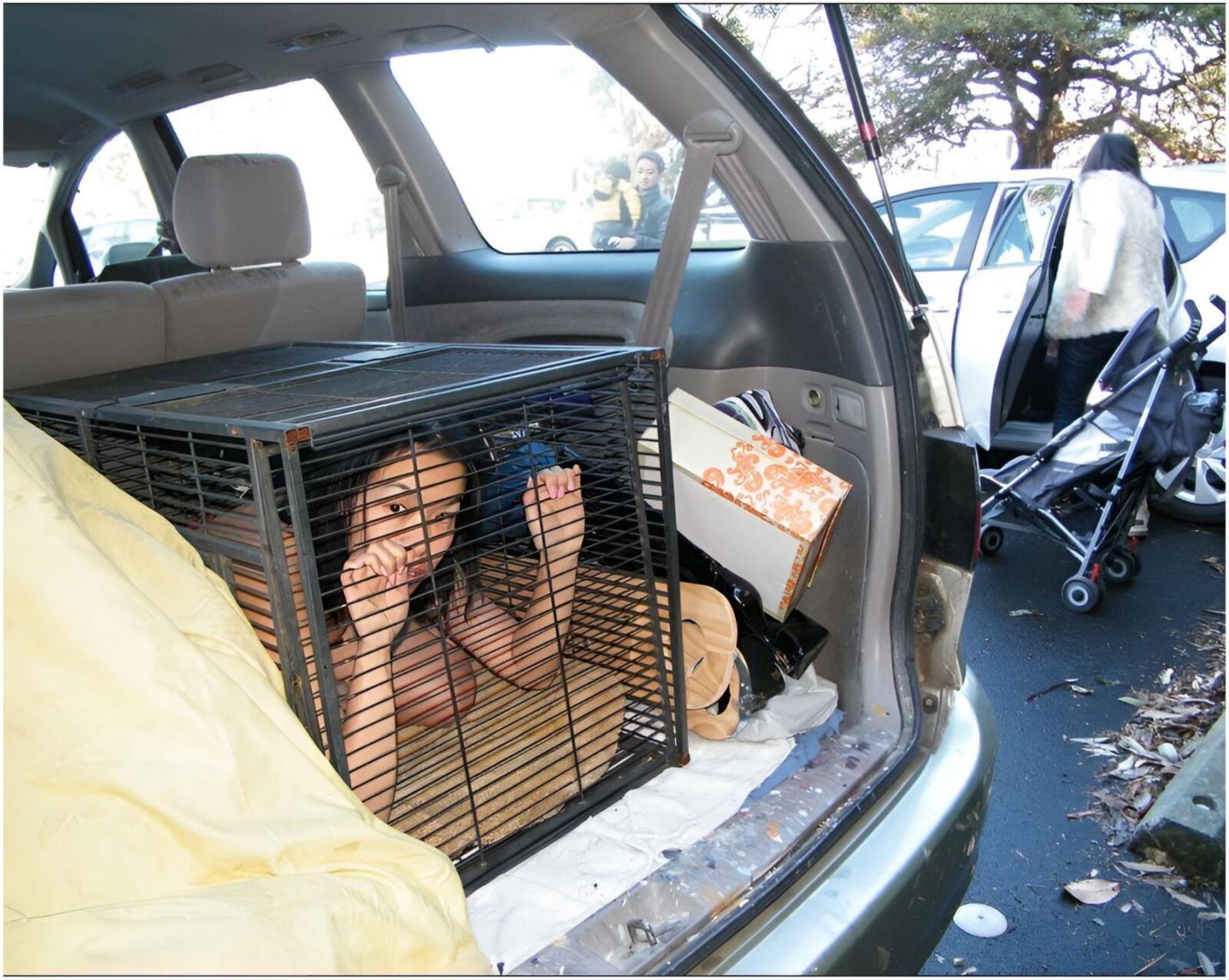 Tiertransport Animal Transport V