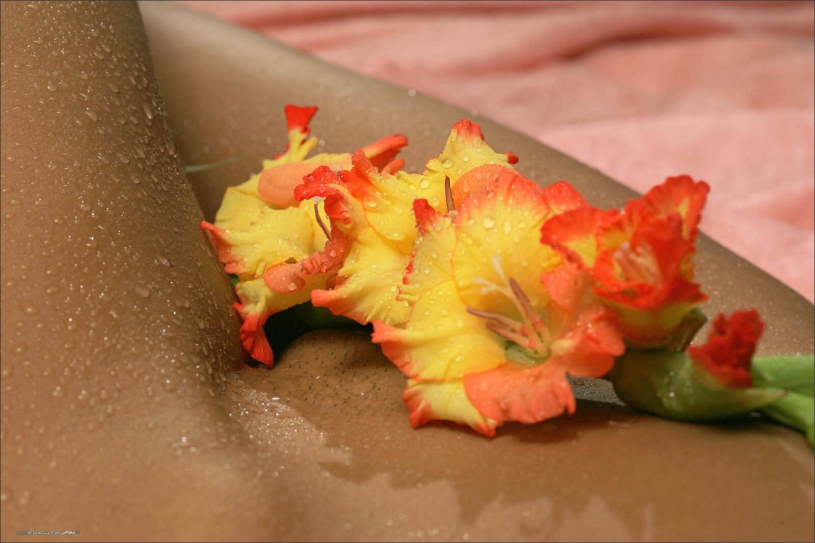 Kamilla wet close ups nipples, landing strip, cute butt, eye