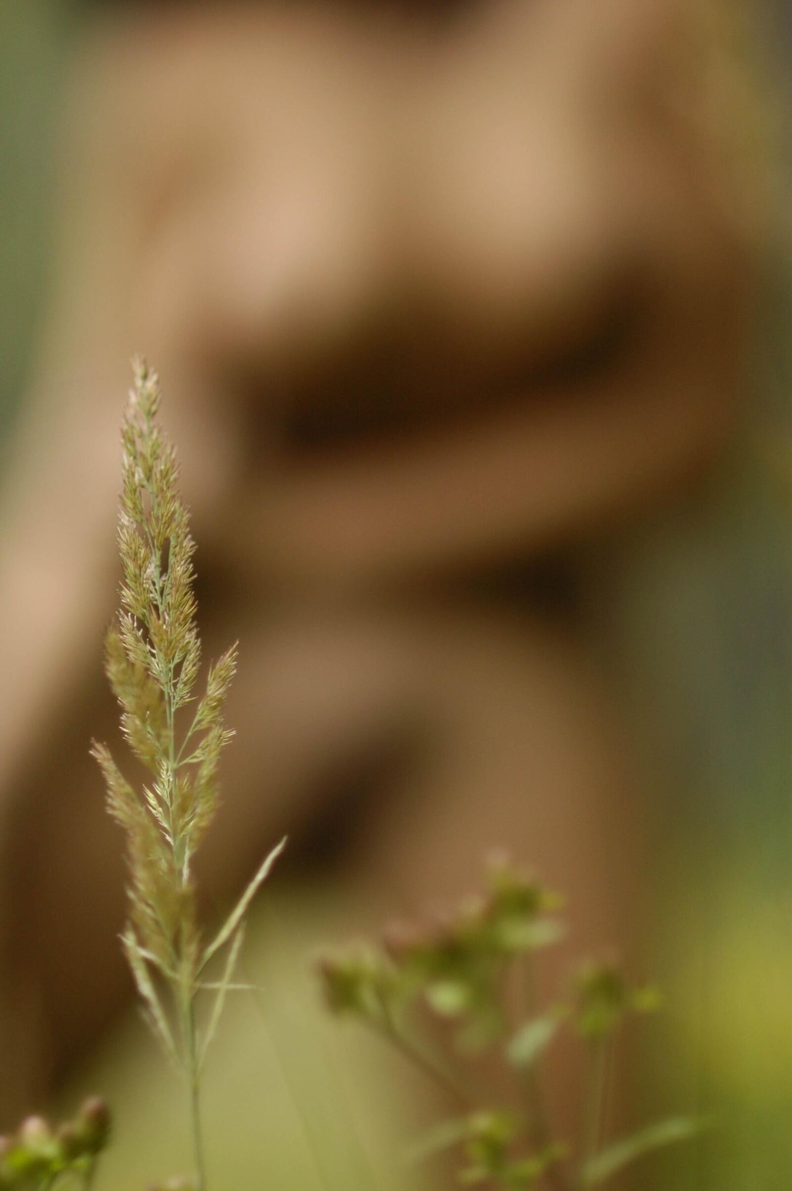 Slastyonoff Gabriela en el bosque,