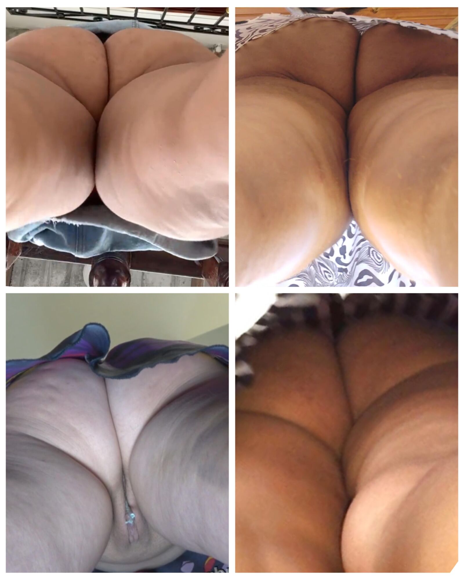 Qual Rabo Mais Gordo Porbaido