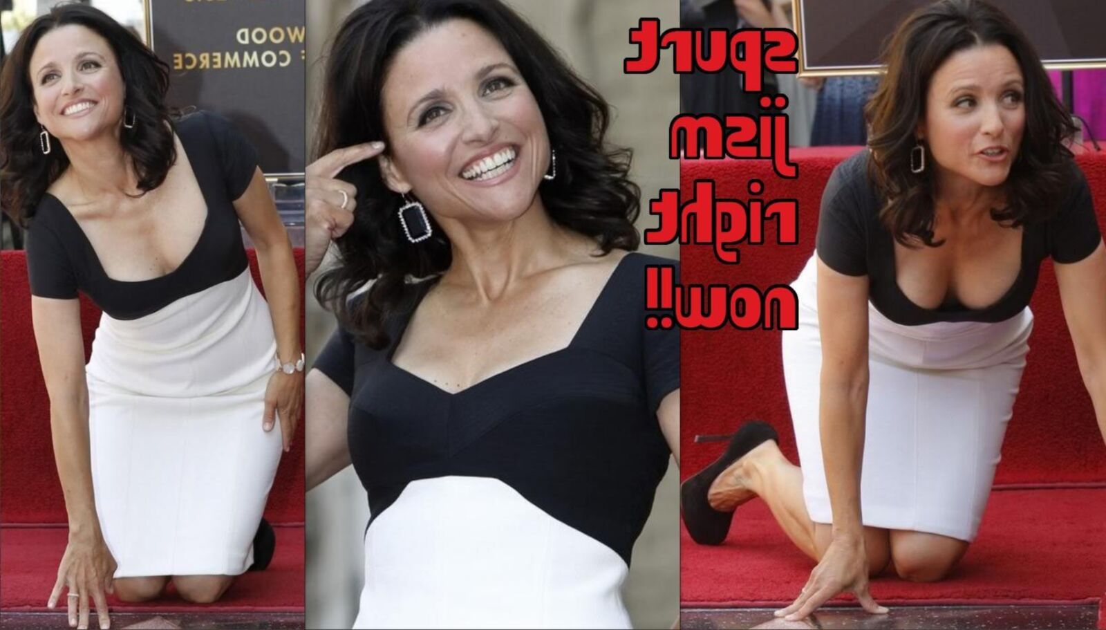 Julia Louis Dreyfus