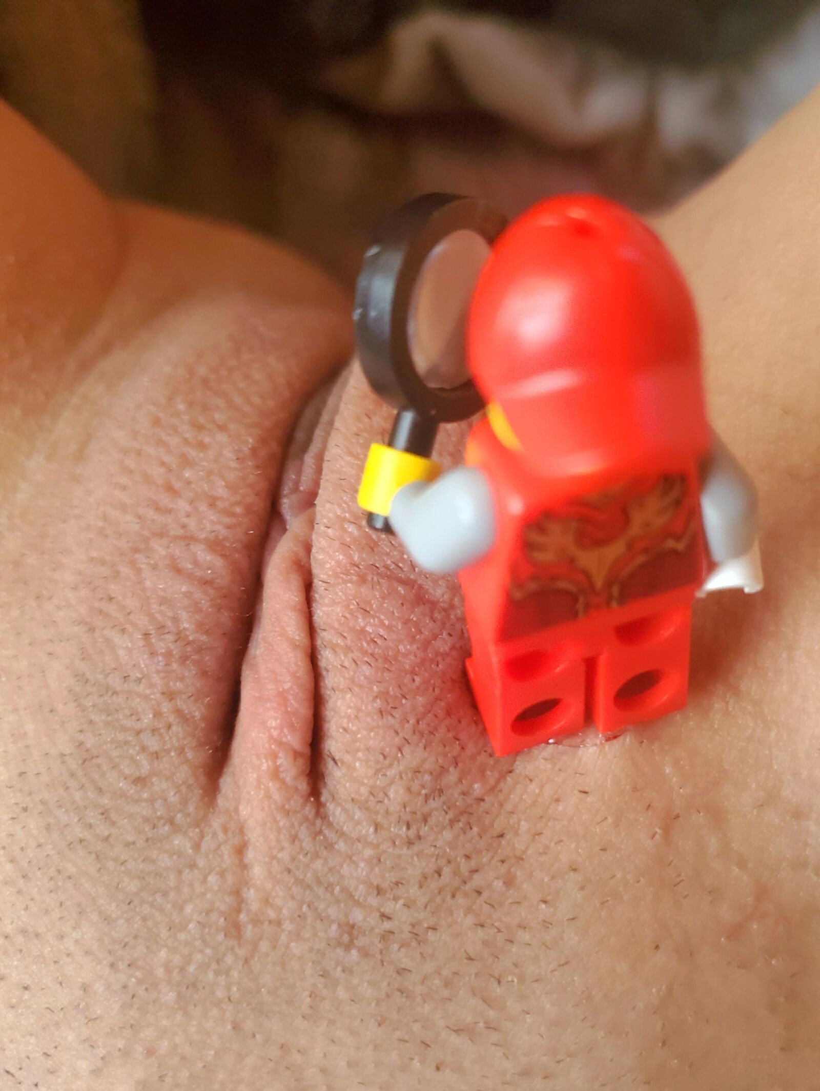 Lego fantasies 