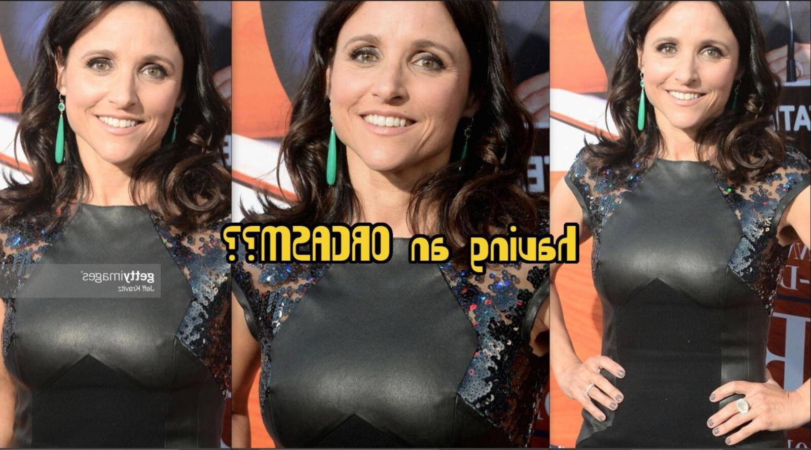 Julia Louis Dreyfus