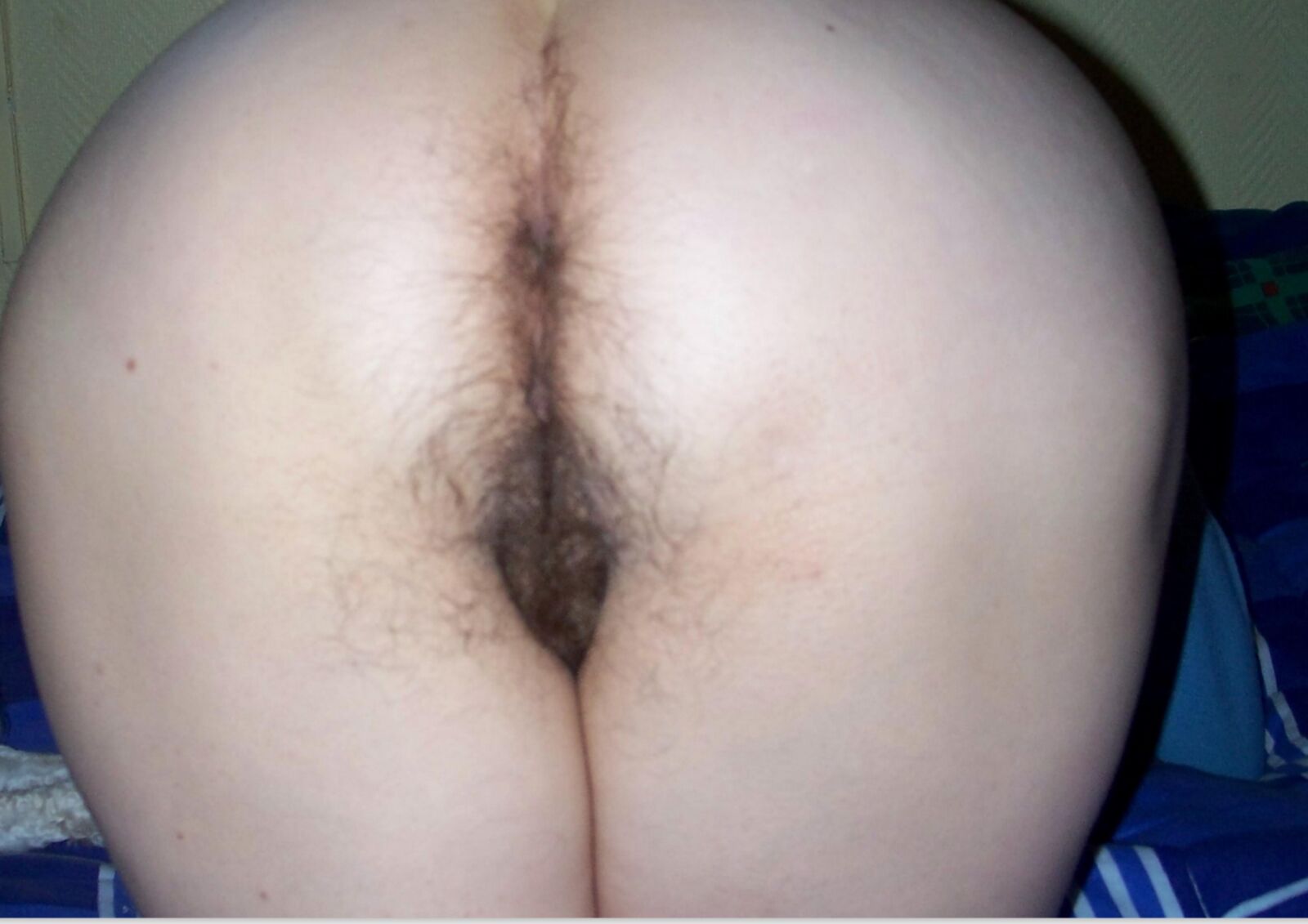 Exibición anónima