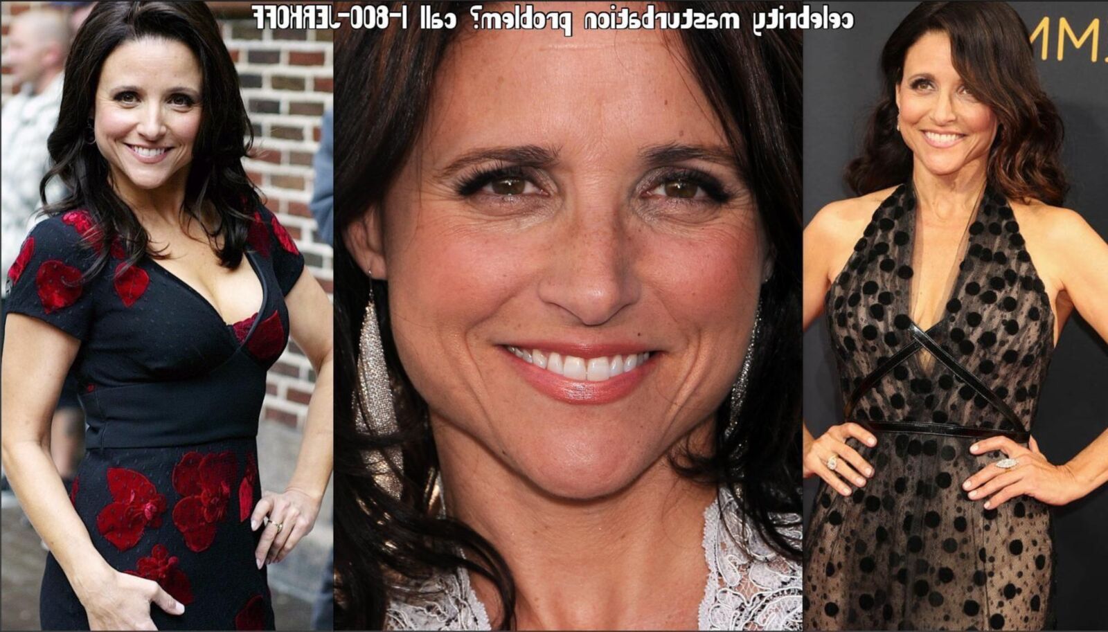 Julia Louis Dreyfus