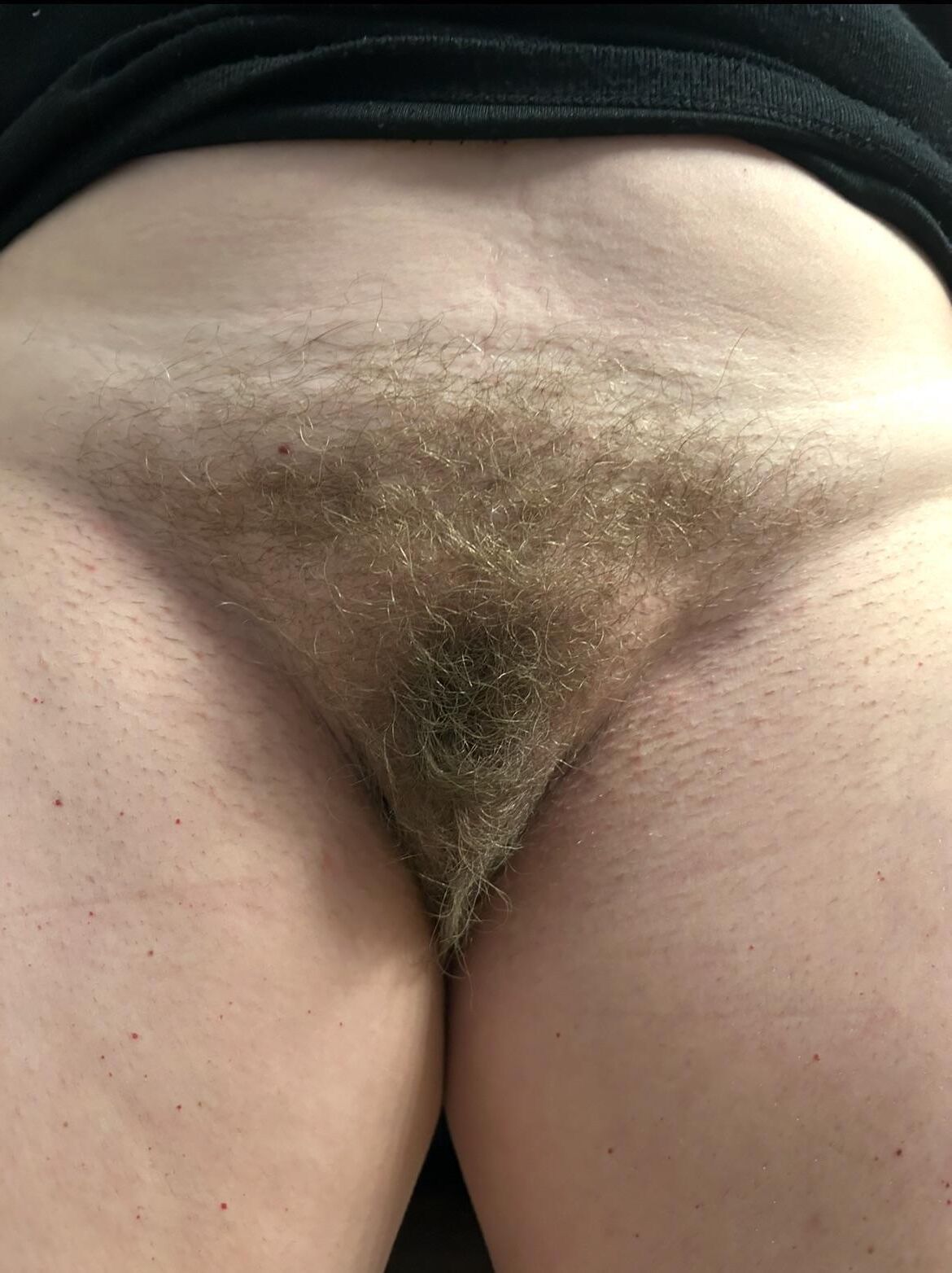 Secret vulva collection leaked