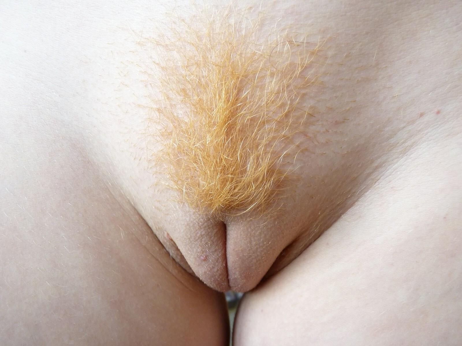 Peludo de perto v