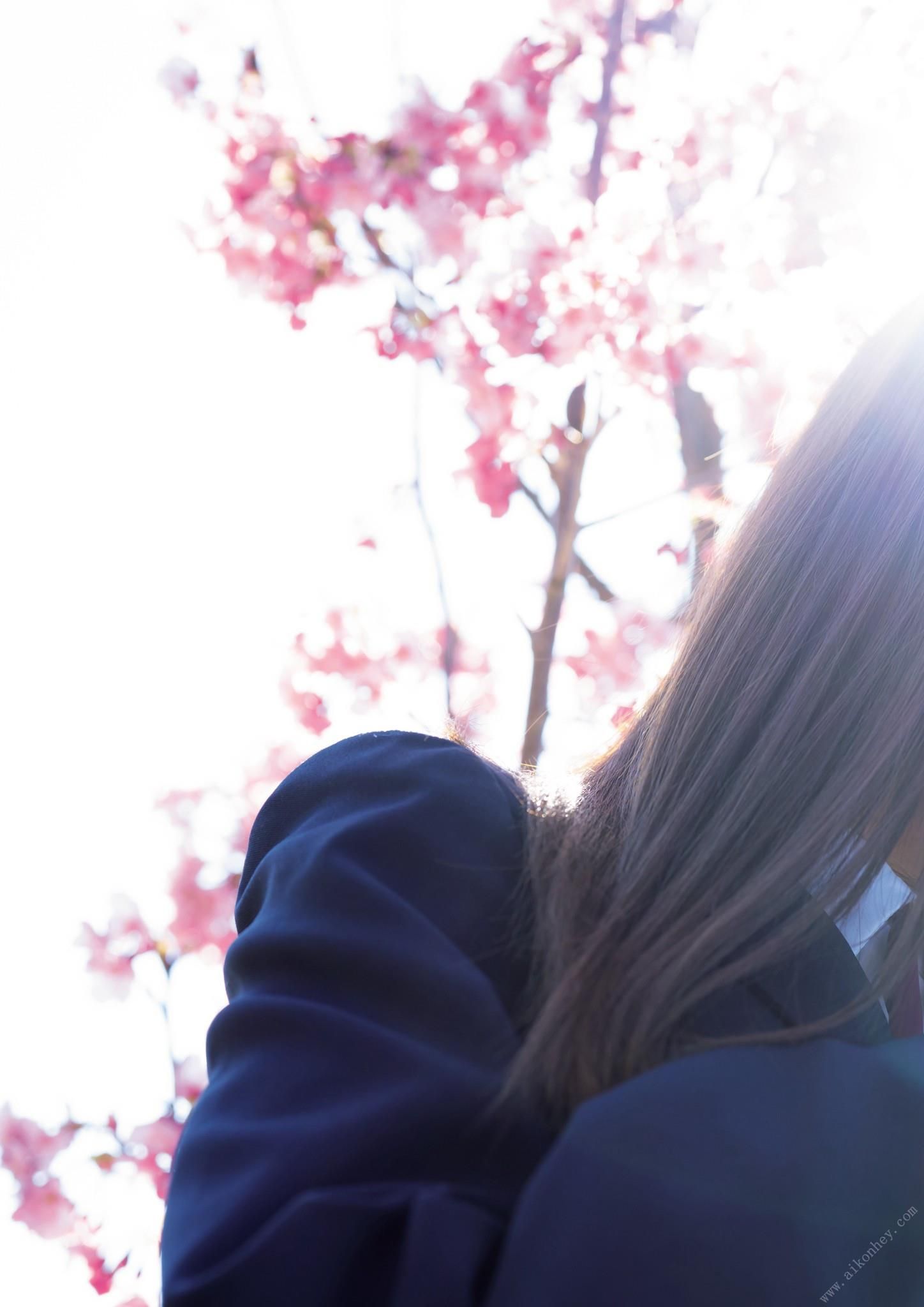Rea Hanasaki Petals