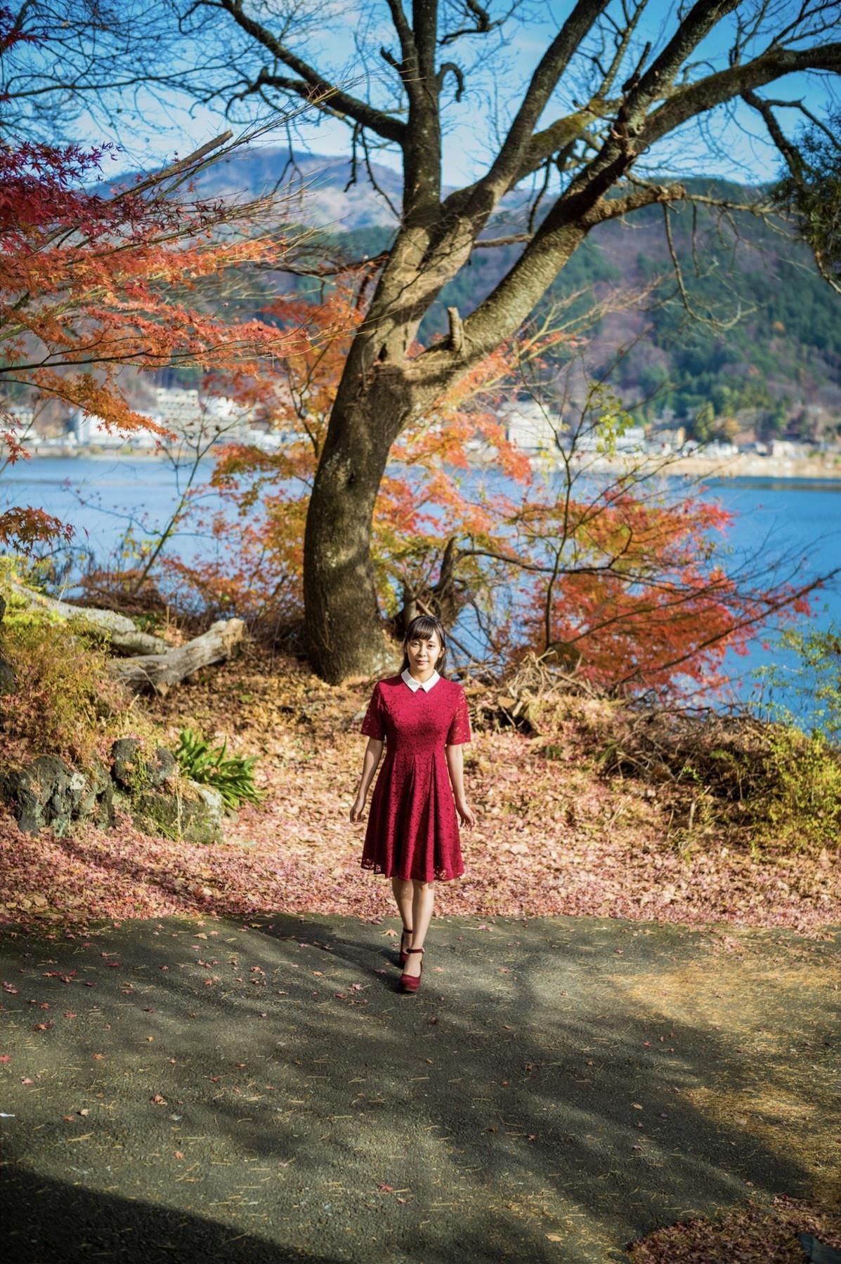 私が私の夢の中であなたに会えるならば、リカ・アミー