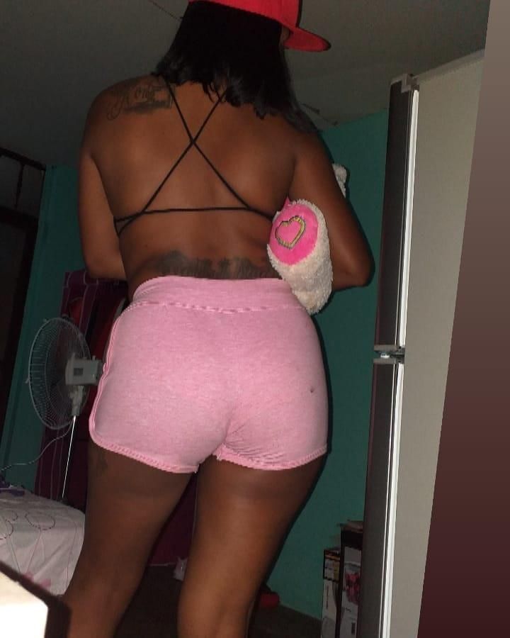 Latina Hündin