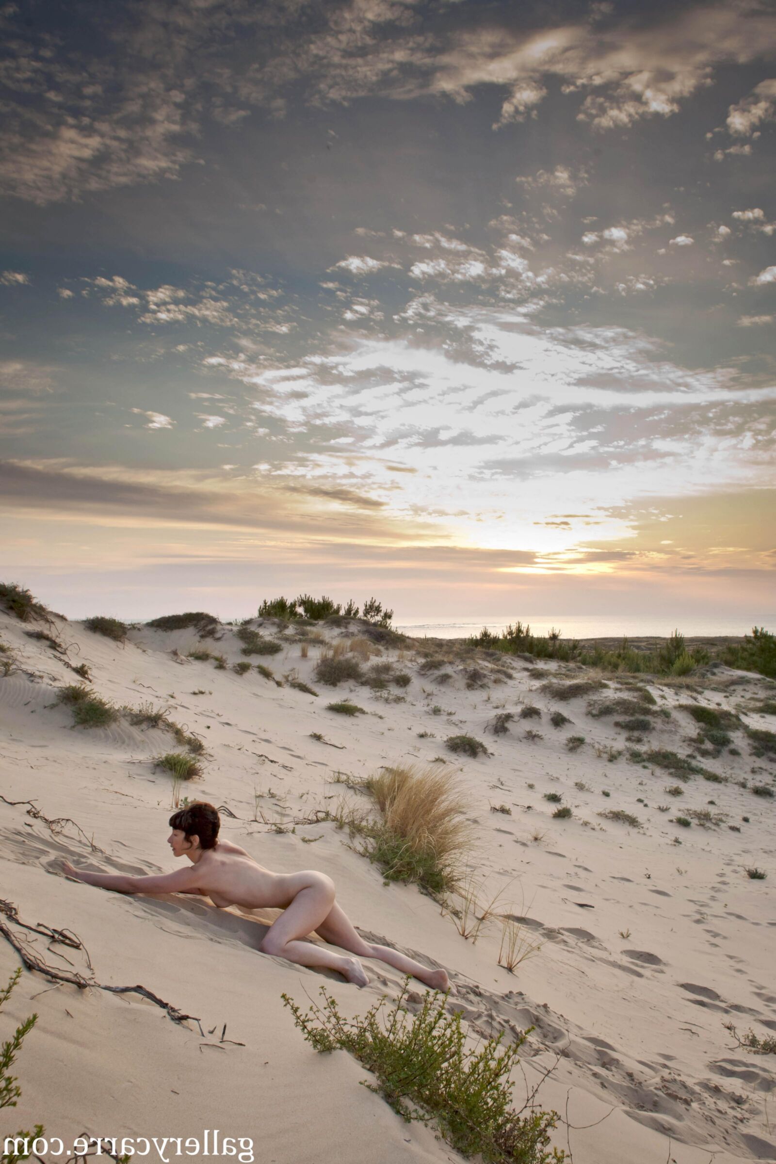 MoretyyStudio Carre Diana Dunes