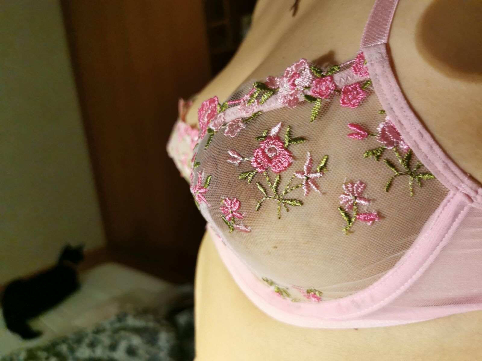 Revisión de AliExpress