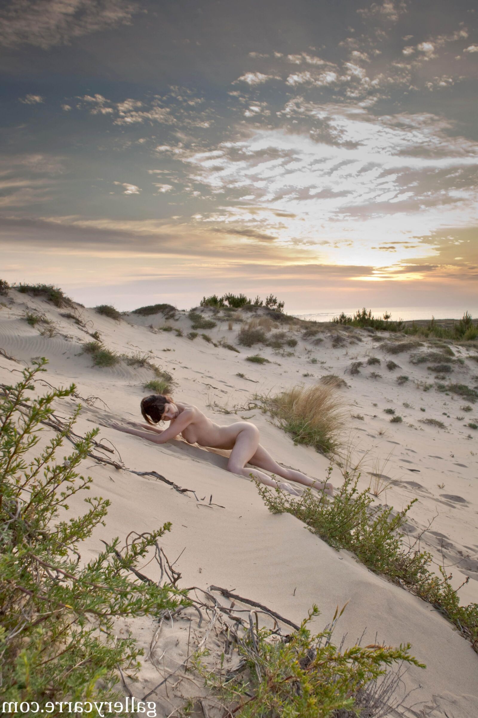 MoretyyStudio Carre Diana Dunes