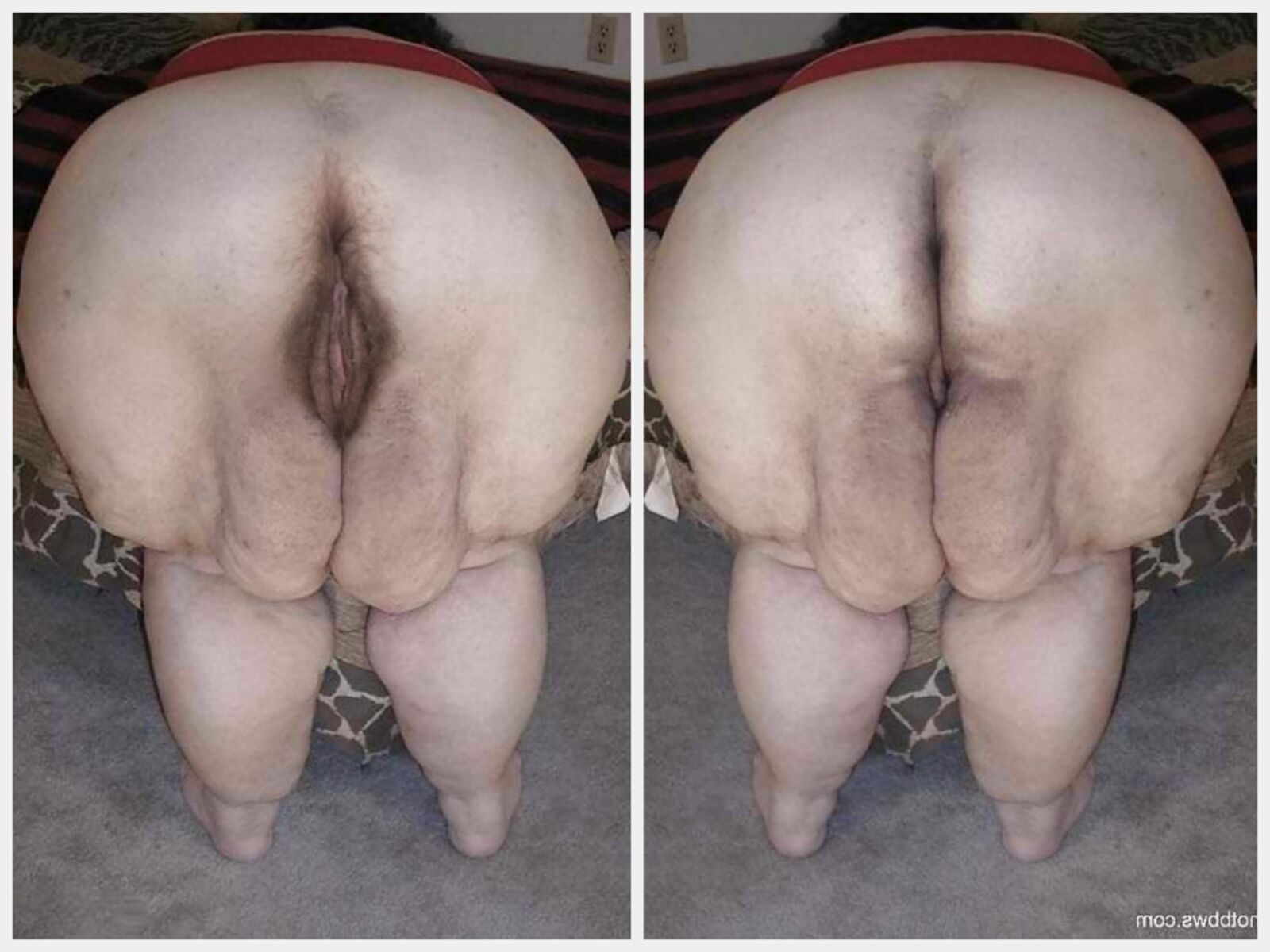 SSBBW Mix