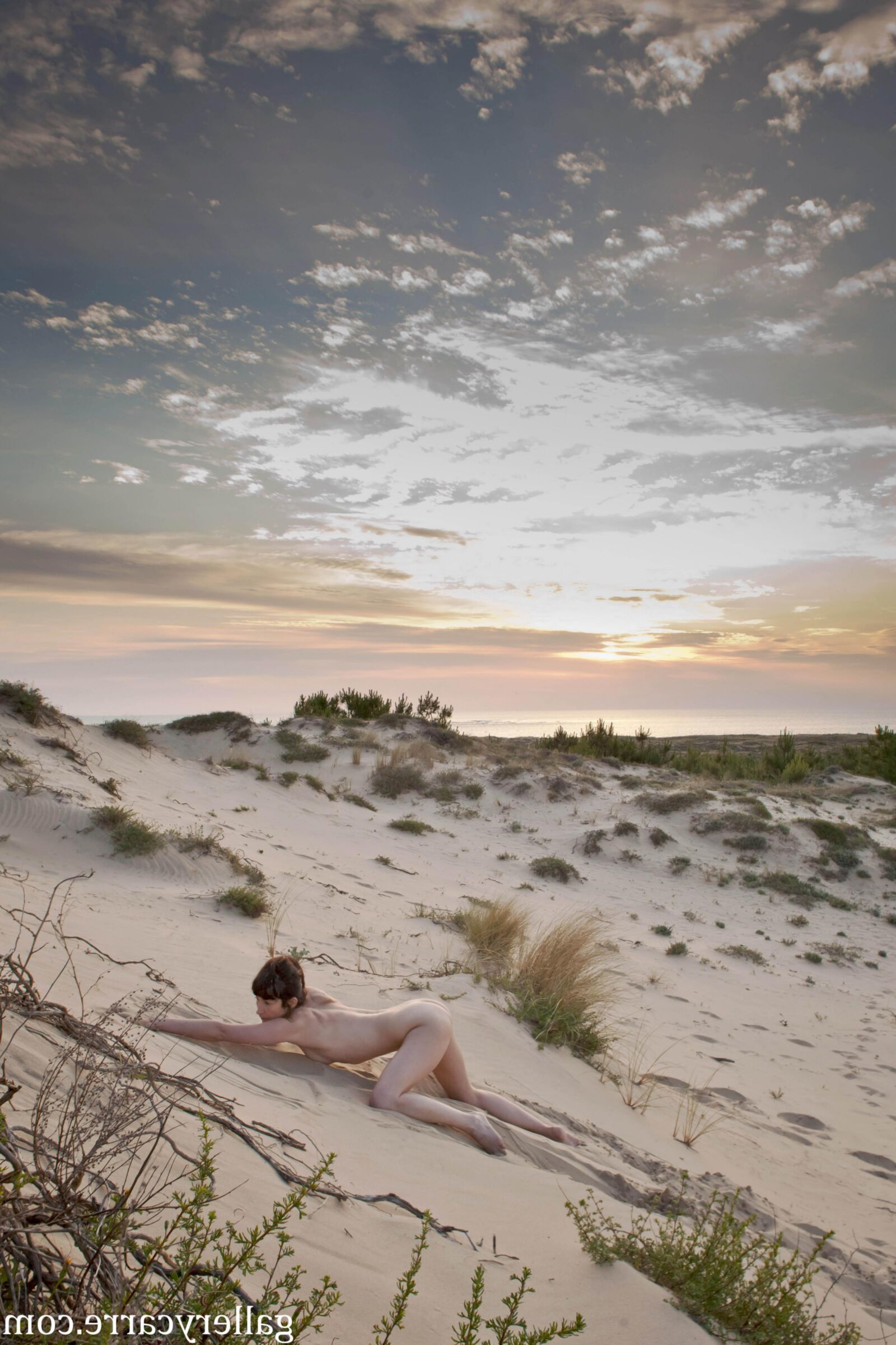 MoretyyStudio Carre Diana Dunes