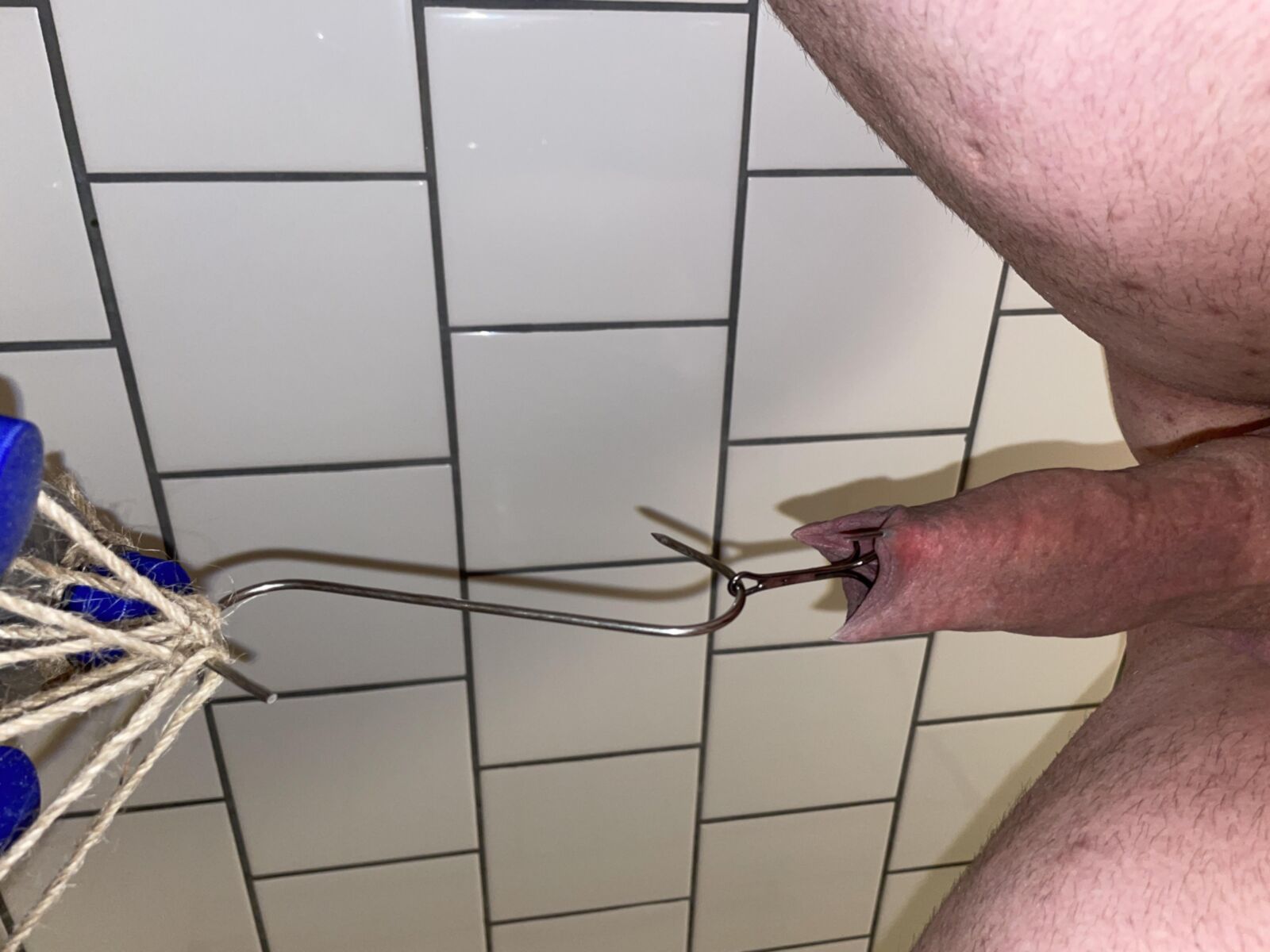 Dialy Quicky (Pain)