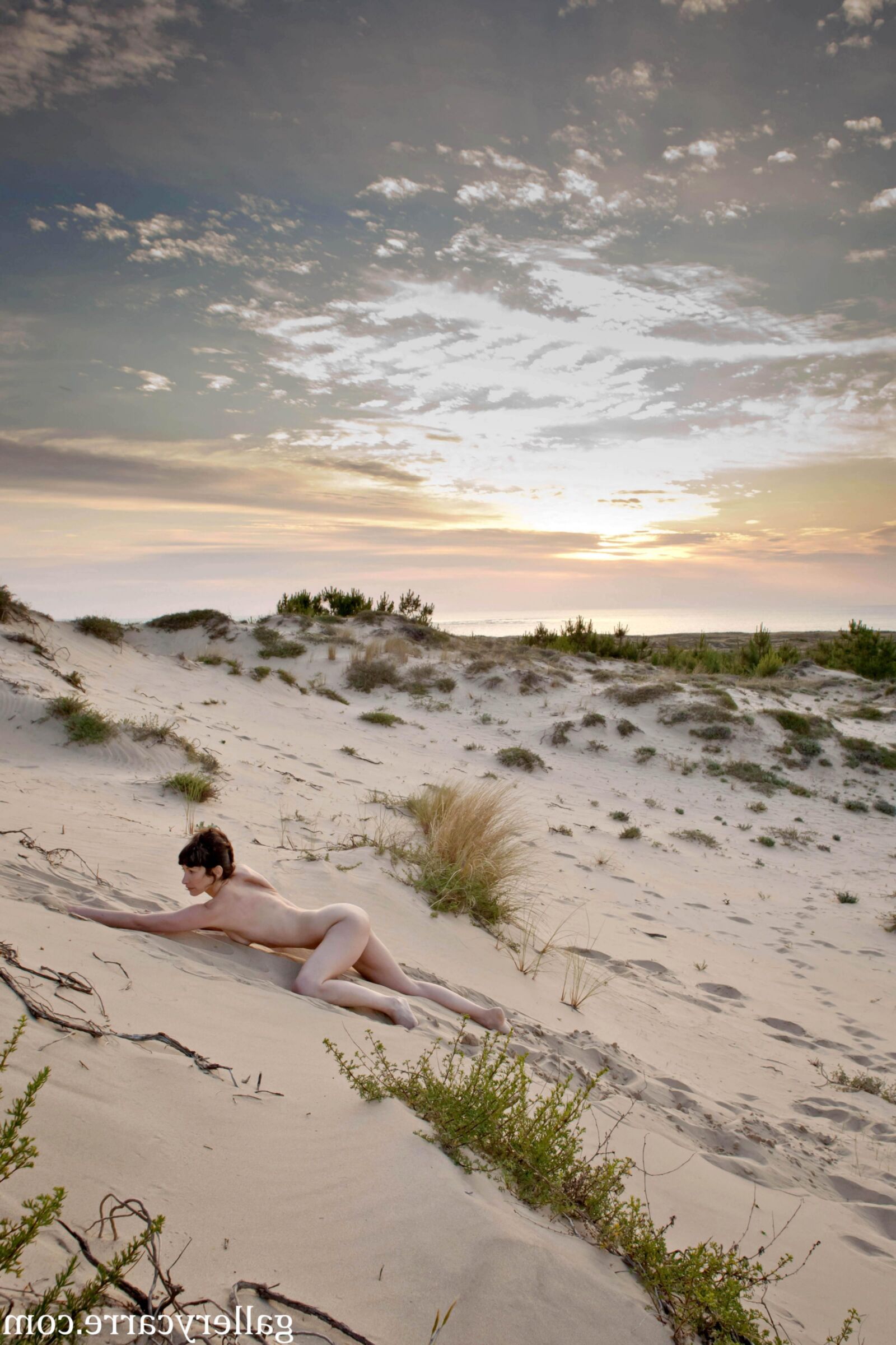 MoretyyStudio Carre Diana Dunes