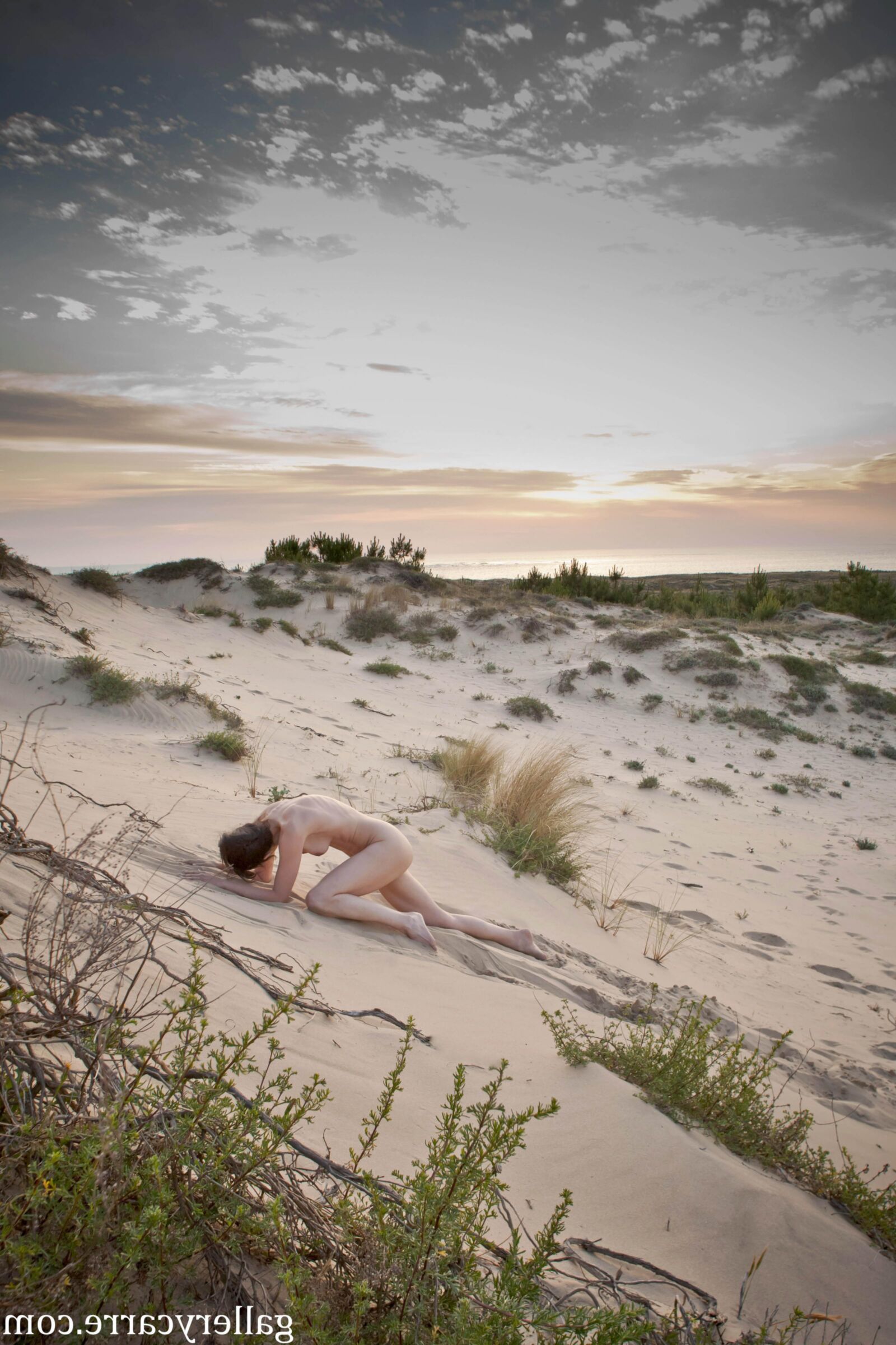 MoretyyStudio Carre Diana Dunes