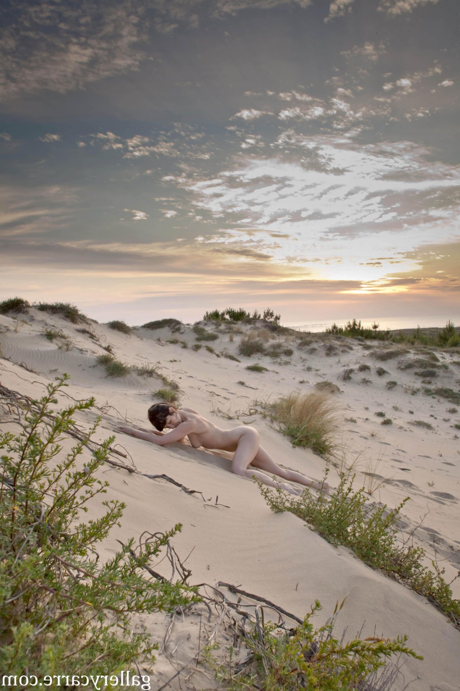 MoretyyStudio Carre Diana Dunes