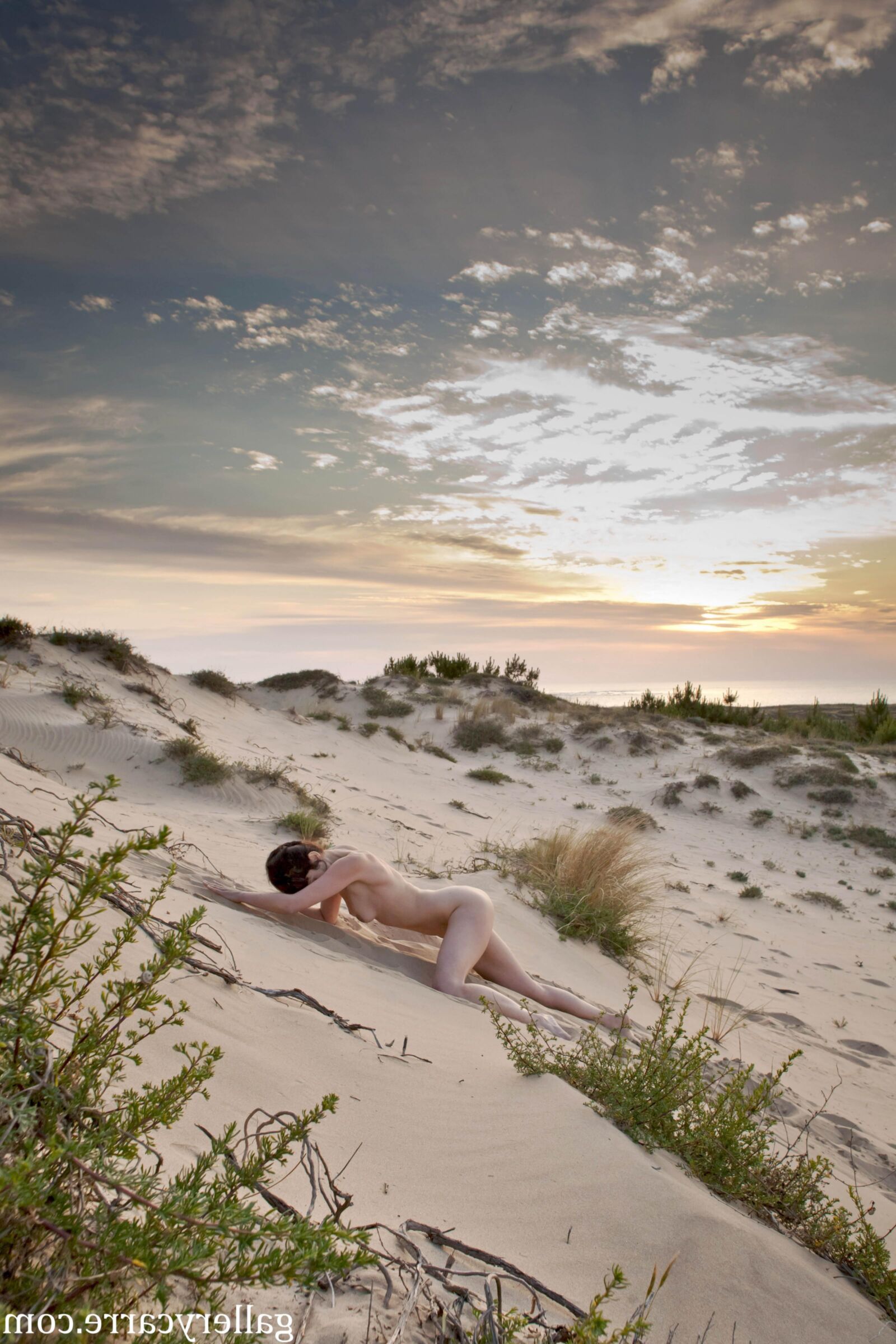 MoretyyStudio Carre Diana Dunes