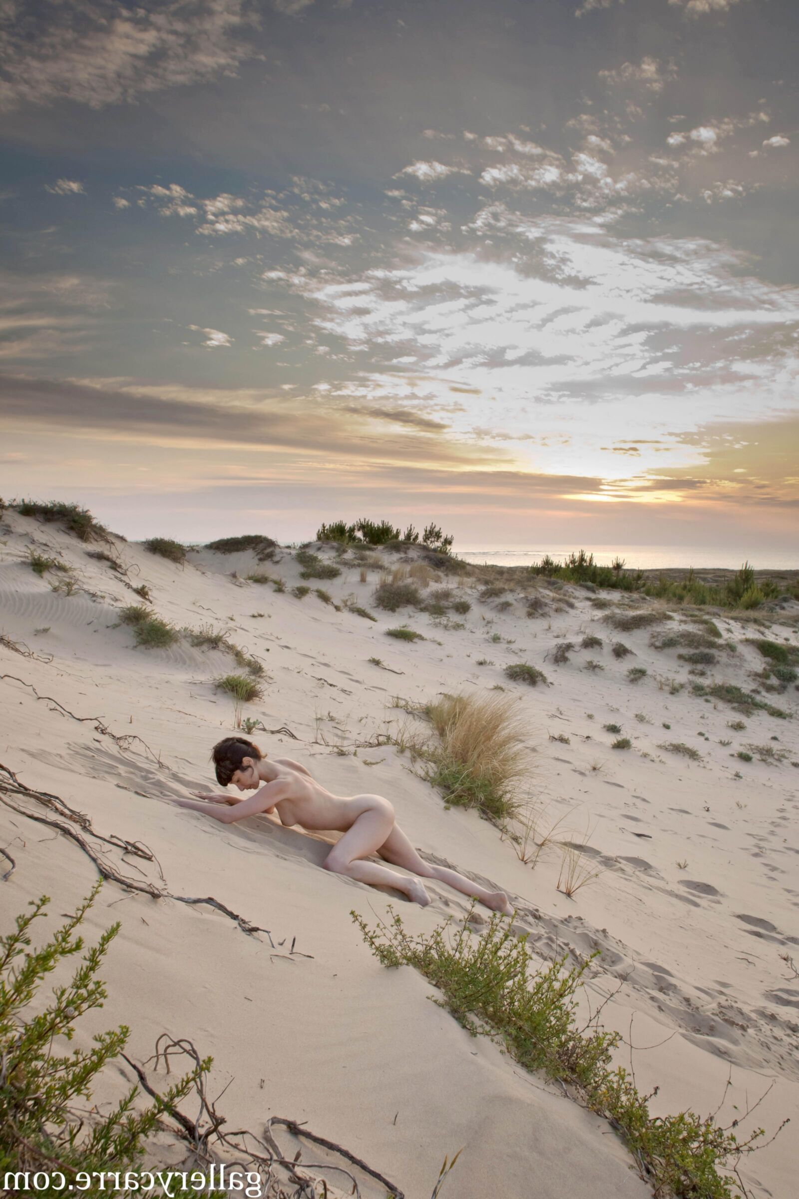 MoretyyStudio Carre Diana Dunes