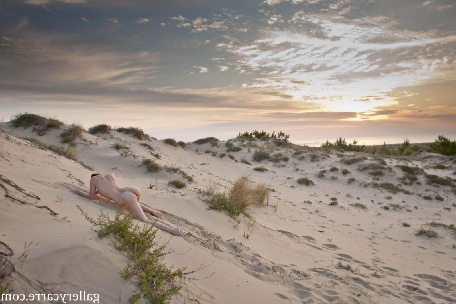 MoretyyStudio Carre Diana Dunes