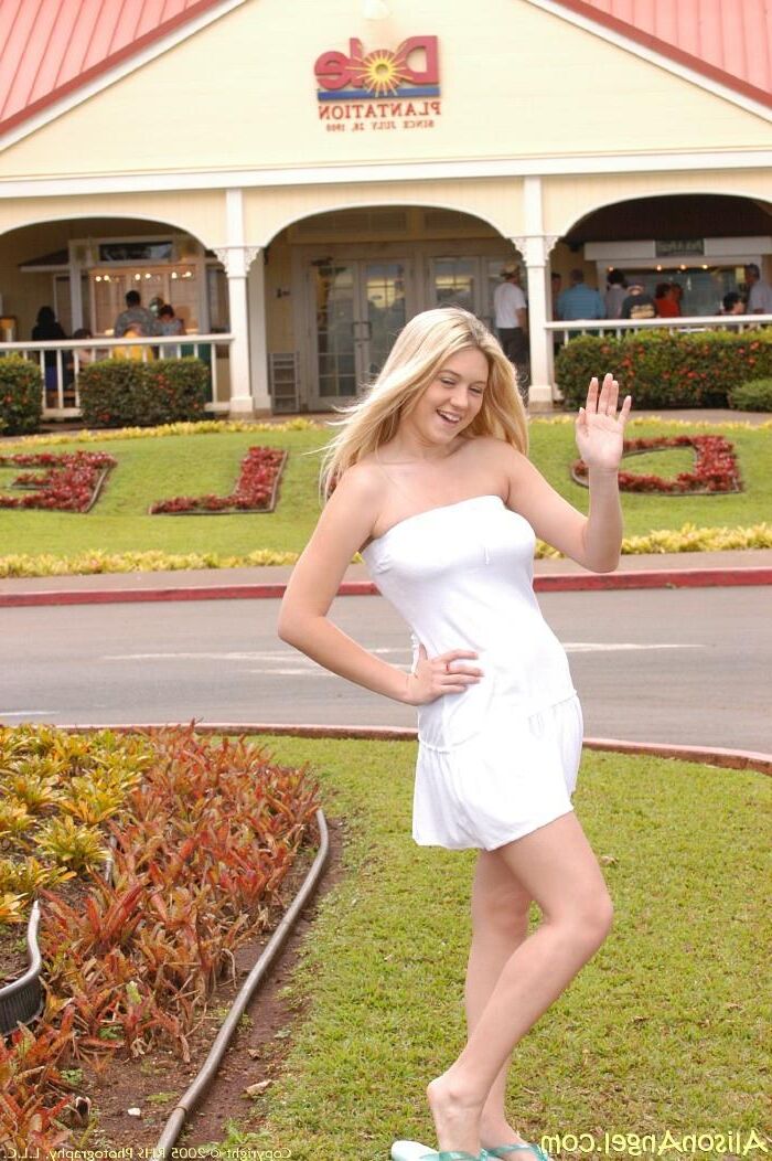 Alison Angel su compañero de viaje