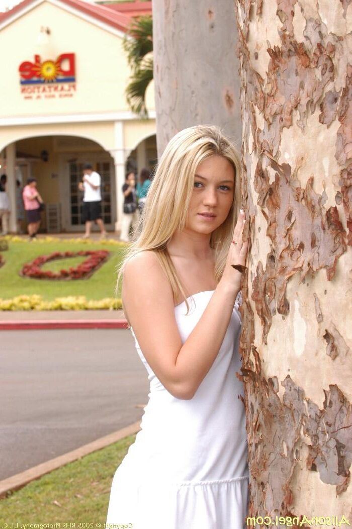 Alison Angel su compañero de viaje
