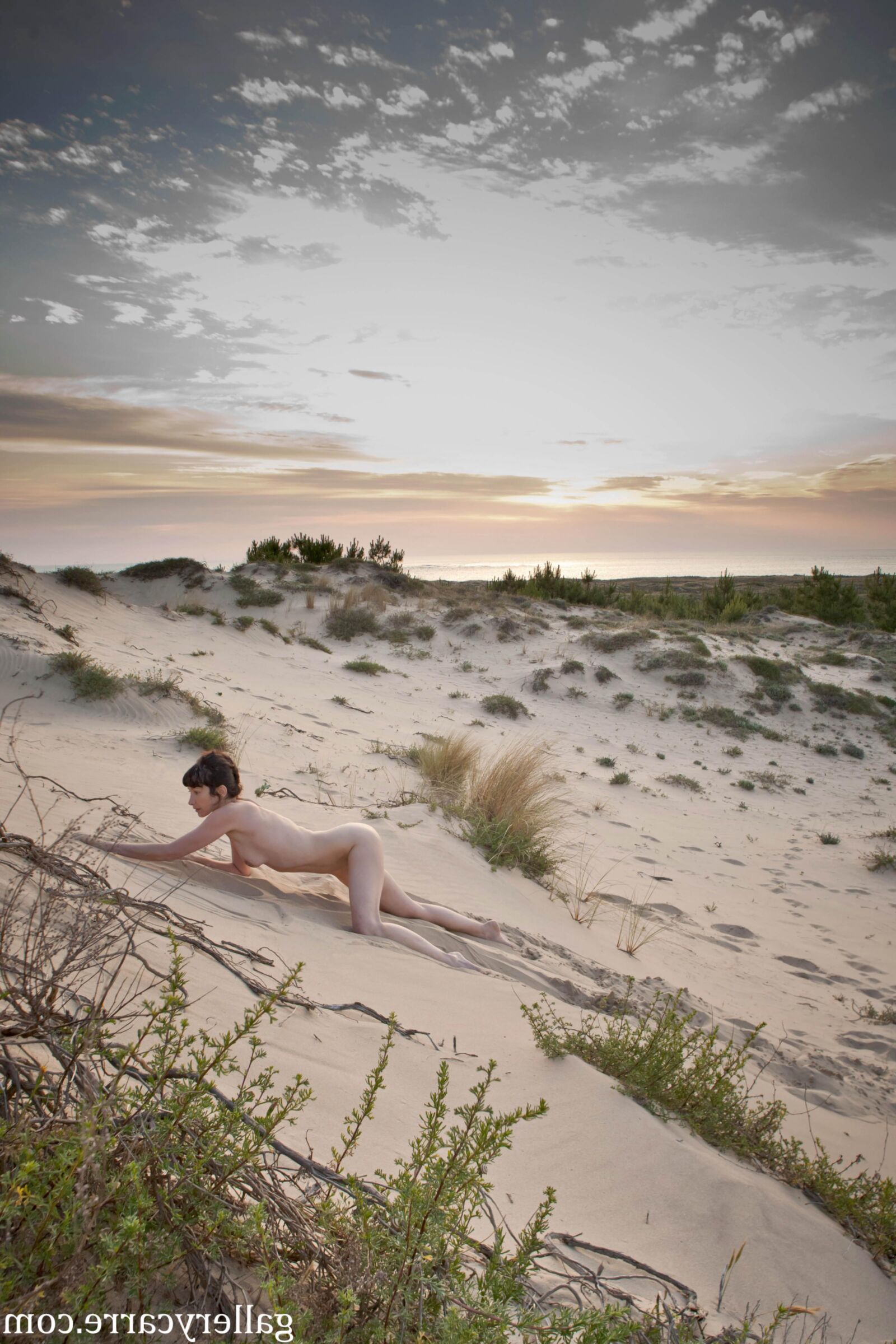 MoretyyStudio Carre Diana Dunes