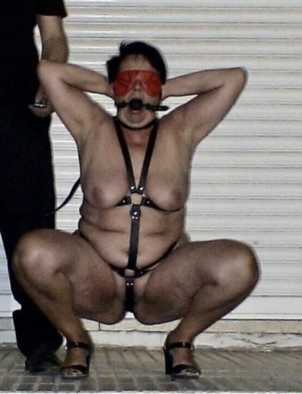 Bodacious Ballgags Vol.