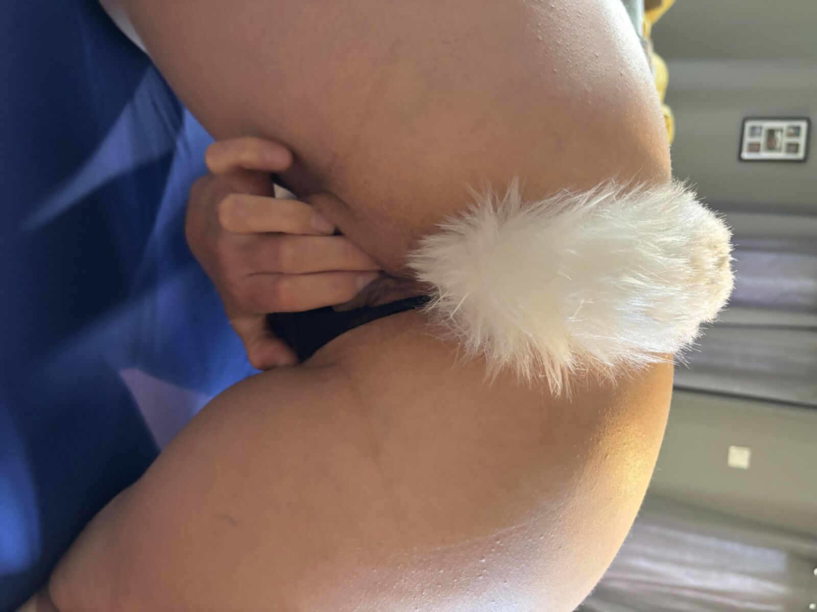 Sexy ass tail 