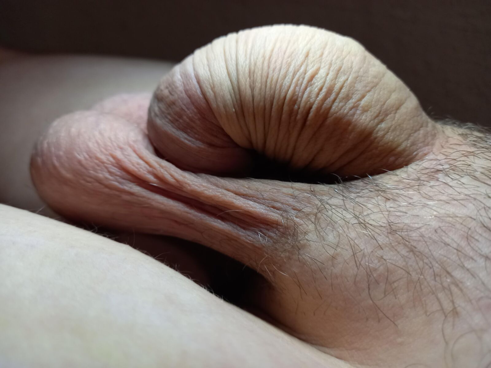 Большой член